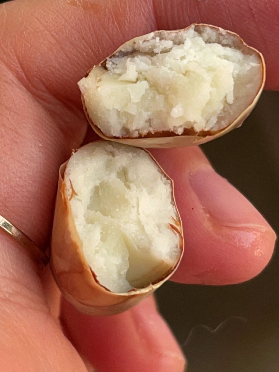 吃完的菠萝蜜核千万别再扔啦!