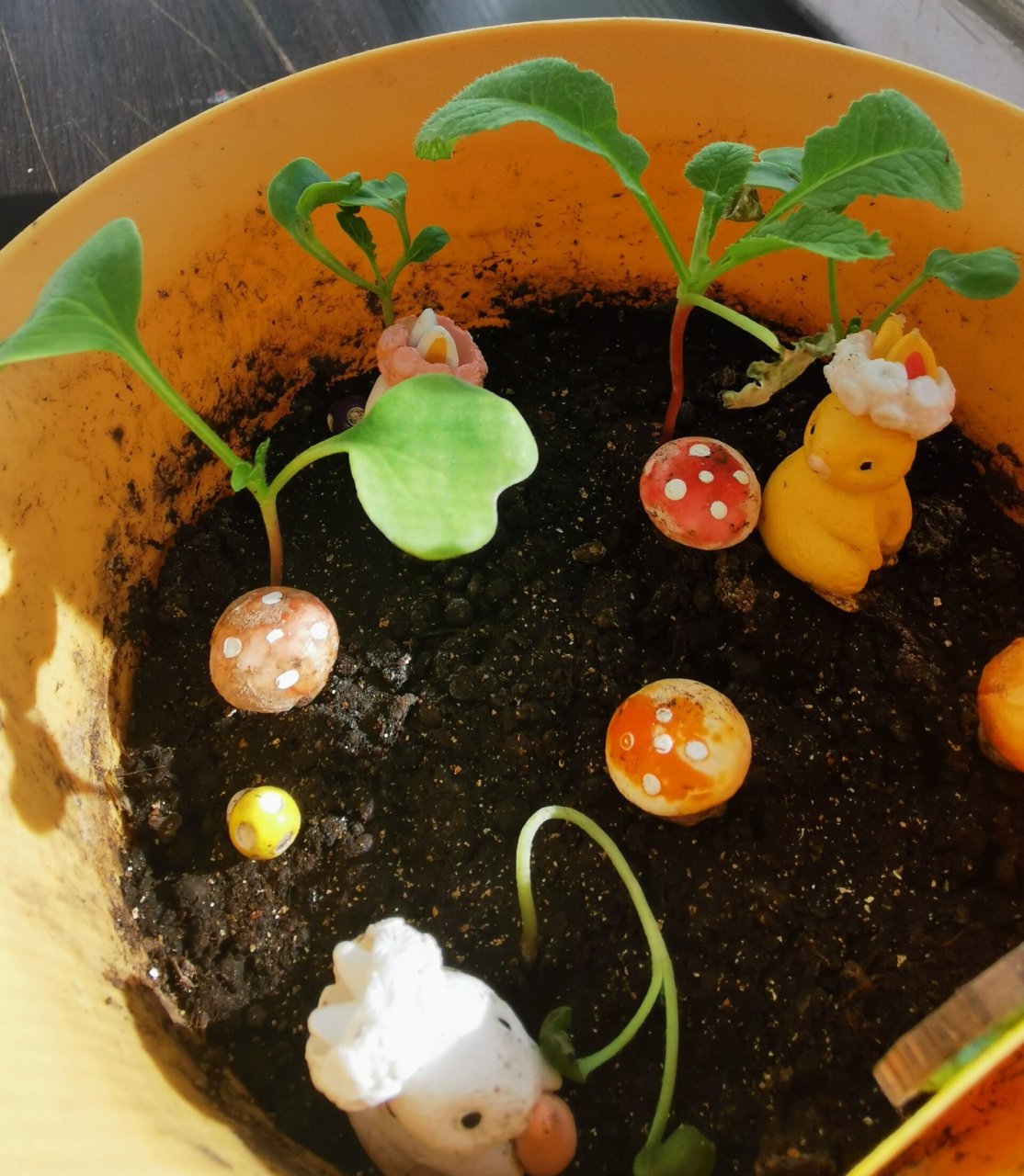 四年级植物观察小报(樱桃萝卜) 家里有个会画画的小姐姐太省心了 四