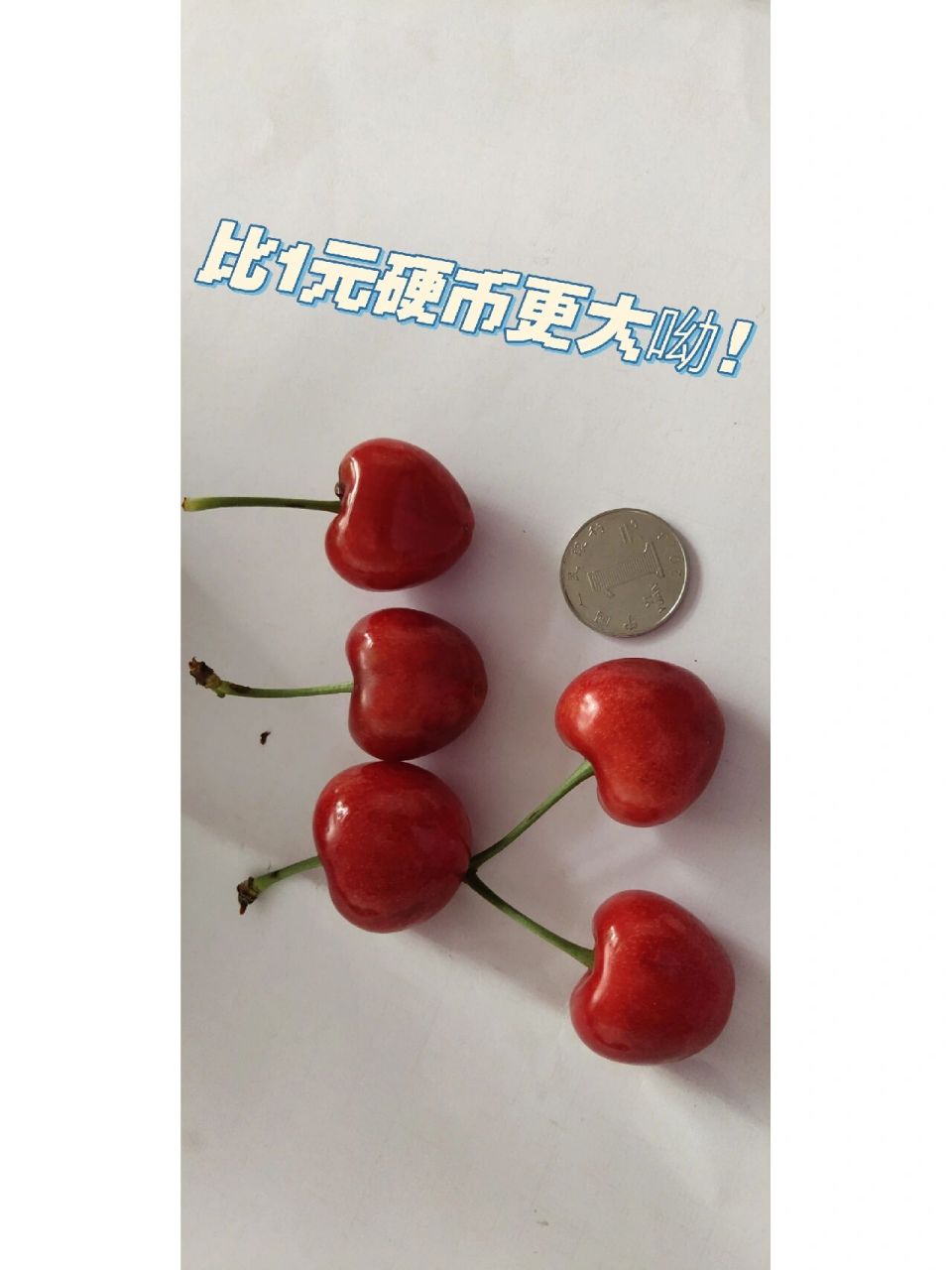 好吃的高沙大樱桃好啦! 大连得利寺的大樱桃      高沙大樱桃!