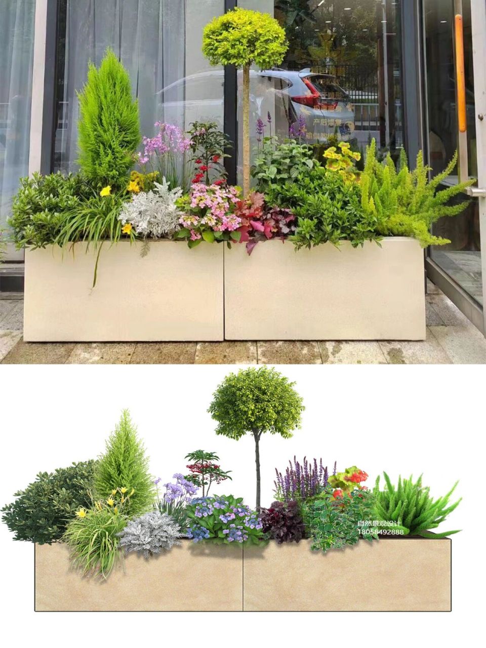 花境植物花箱配置组合99好看就完事啦