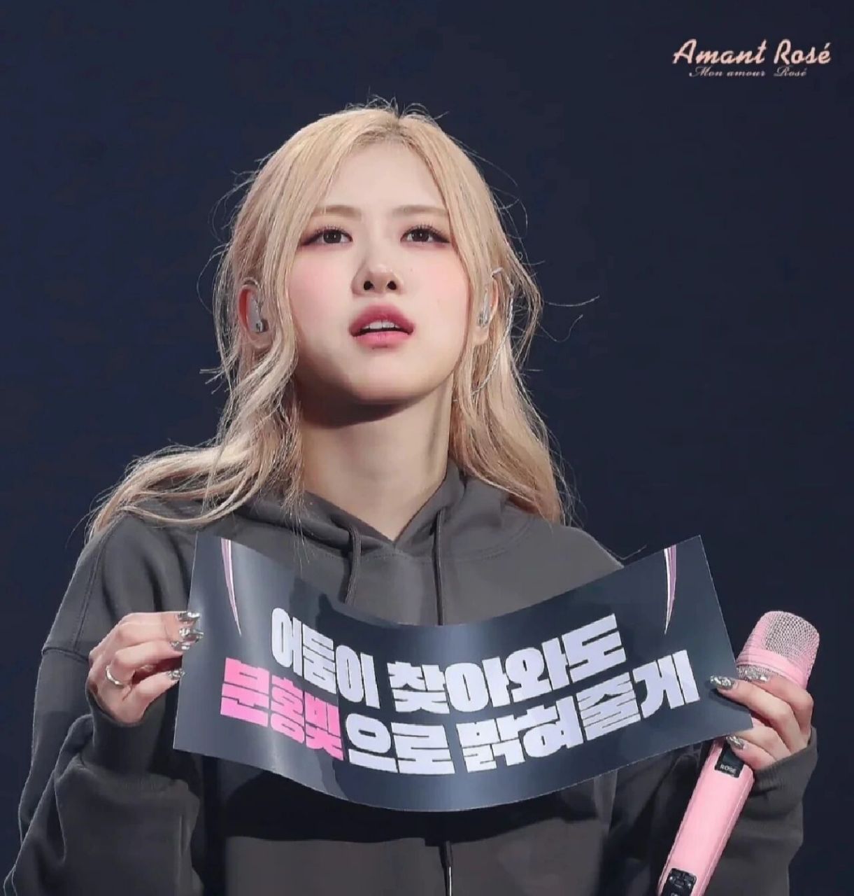 rose绝美神图 无敌米 不入后悔系列 澳洲野玫瑰出了 怎么少得了人间