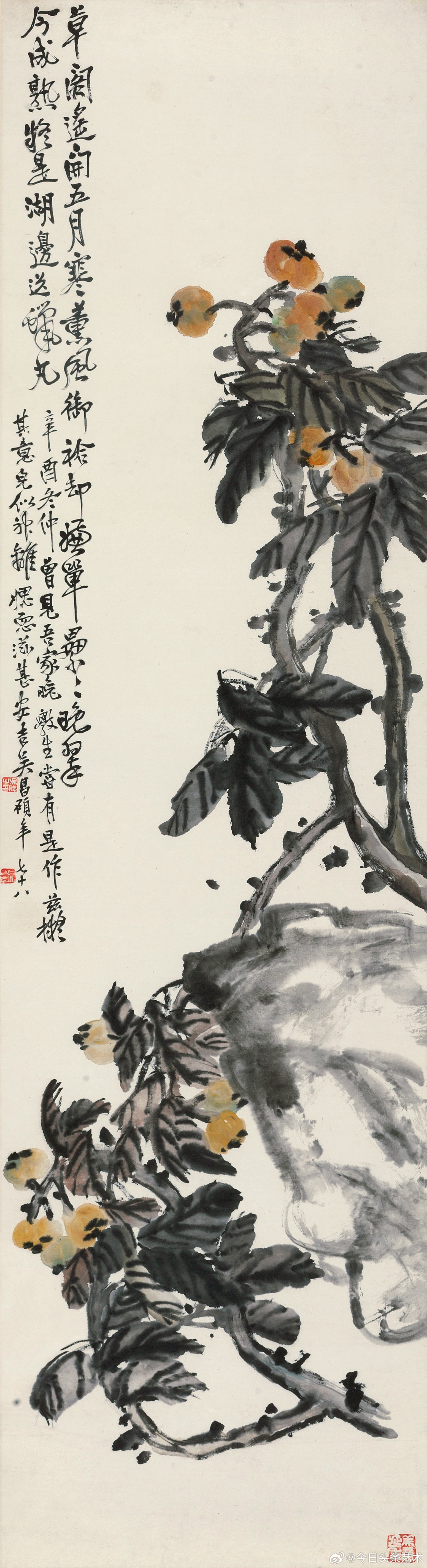 画家吴昌硕笔下的枇杷