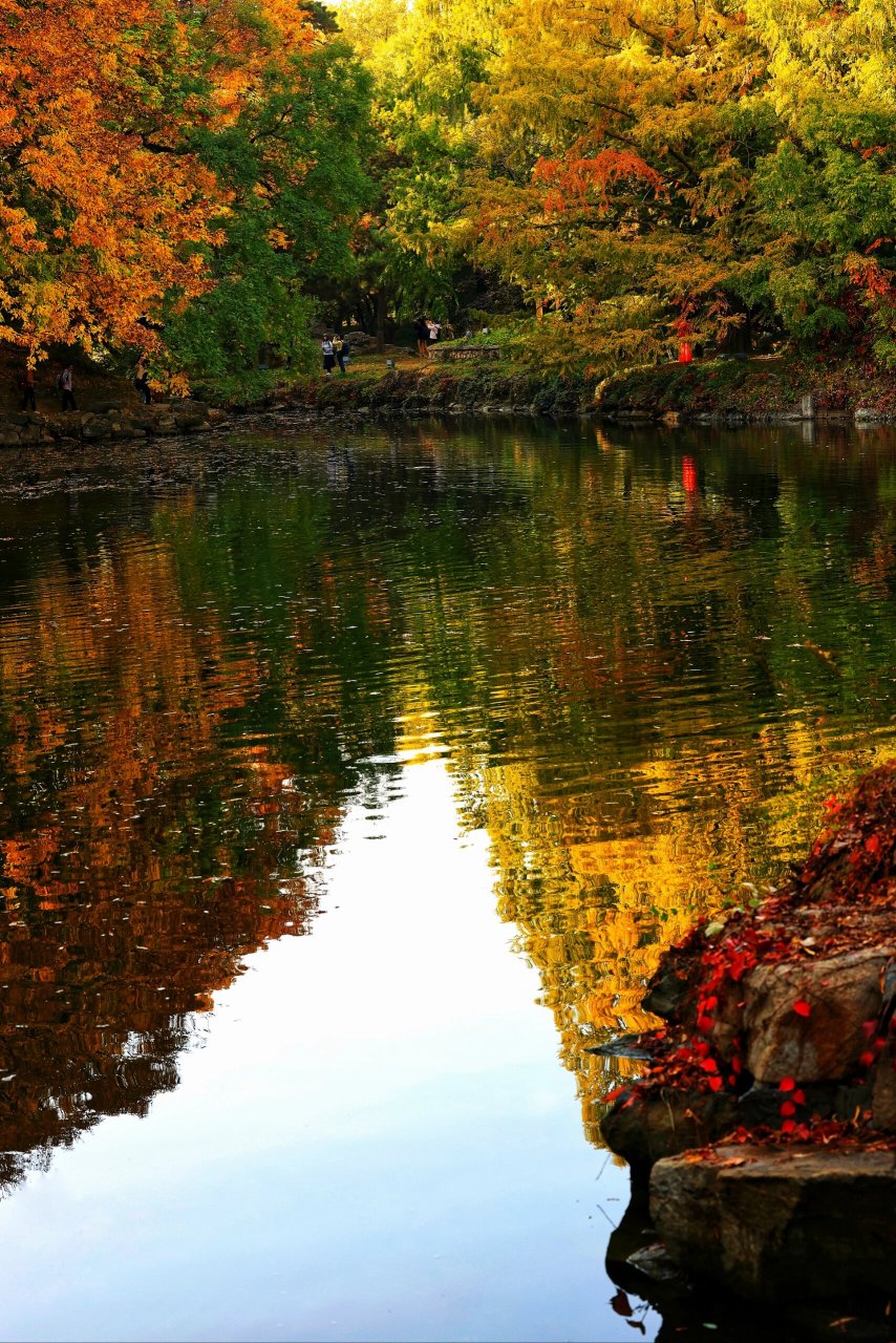 颐和园 |最美的秋色 | 藏在后山后湖 秋意浓,岁月柔.