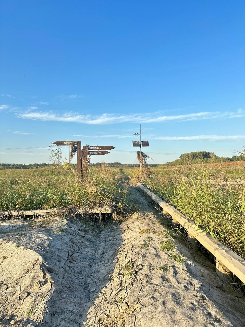 琉璃河湿地公园 每年的秋天都会来琉璃河湿地公园,大片美丽的芦苇荡最