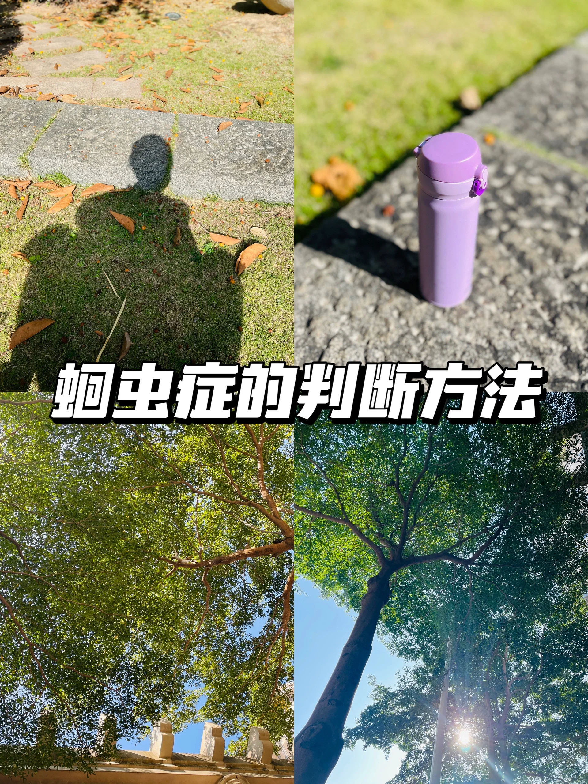 蛔虫症的判断方法 97我们怎么知道人体里面长虫,我们有诊断的方式.