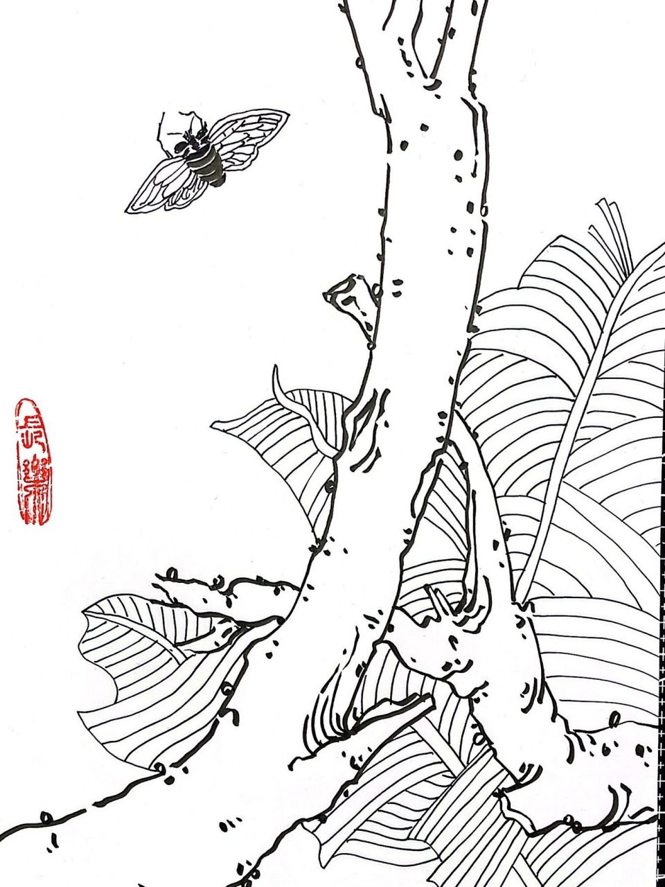 小楷笔|夏日蝉鸣(白描) 附高清线稿 夏日就需要有夏日的样子,知了鸣叫