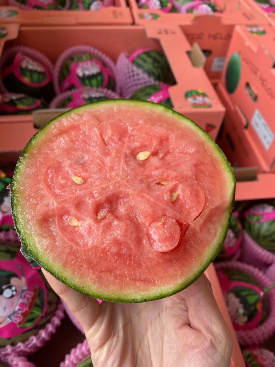 冰淇淋小糖丸西瓜吃过吗 上新95冰淇淋小糖丸爆瓜 	 妈妈再也不用