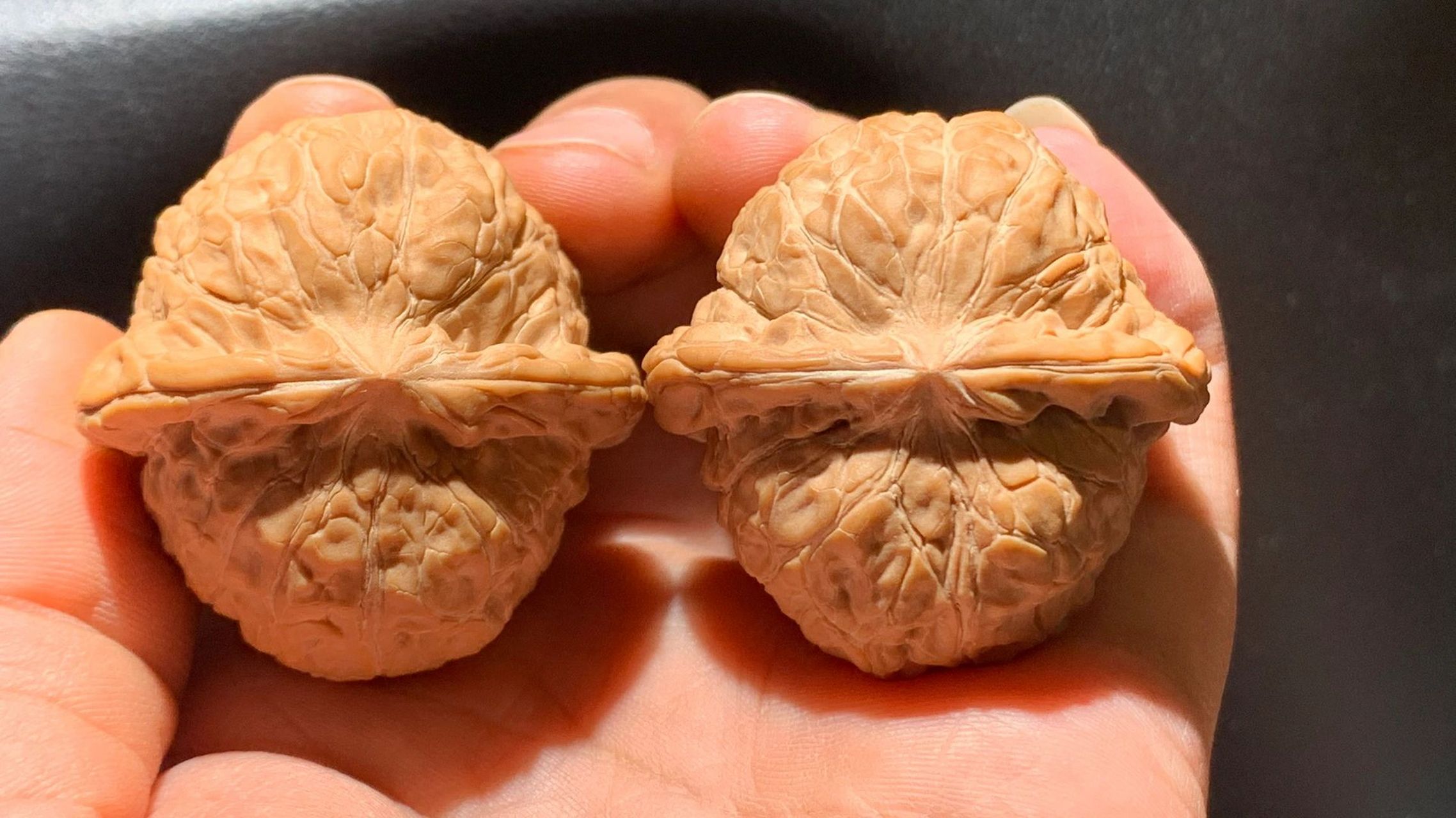 以底命名的文玩核桃:南瓜墩99性感肥美!