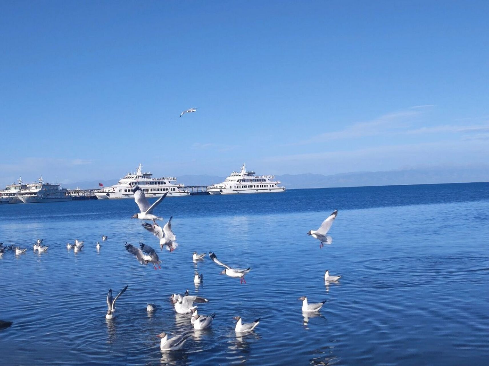 青海湖二郎剑景区日落日出  1.