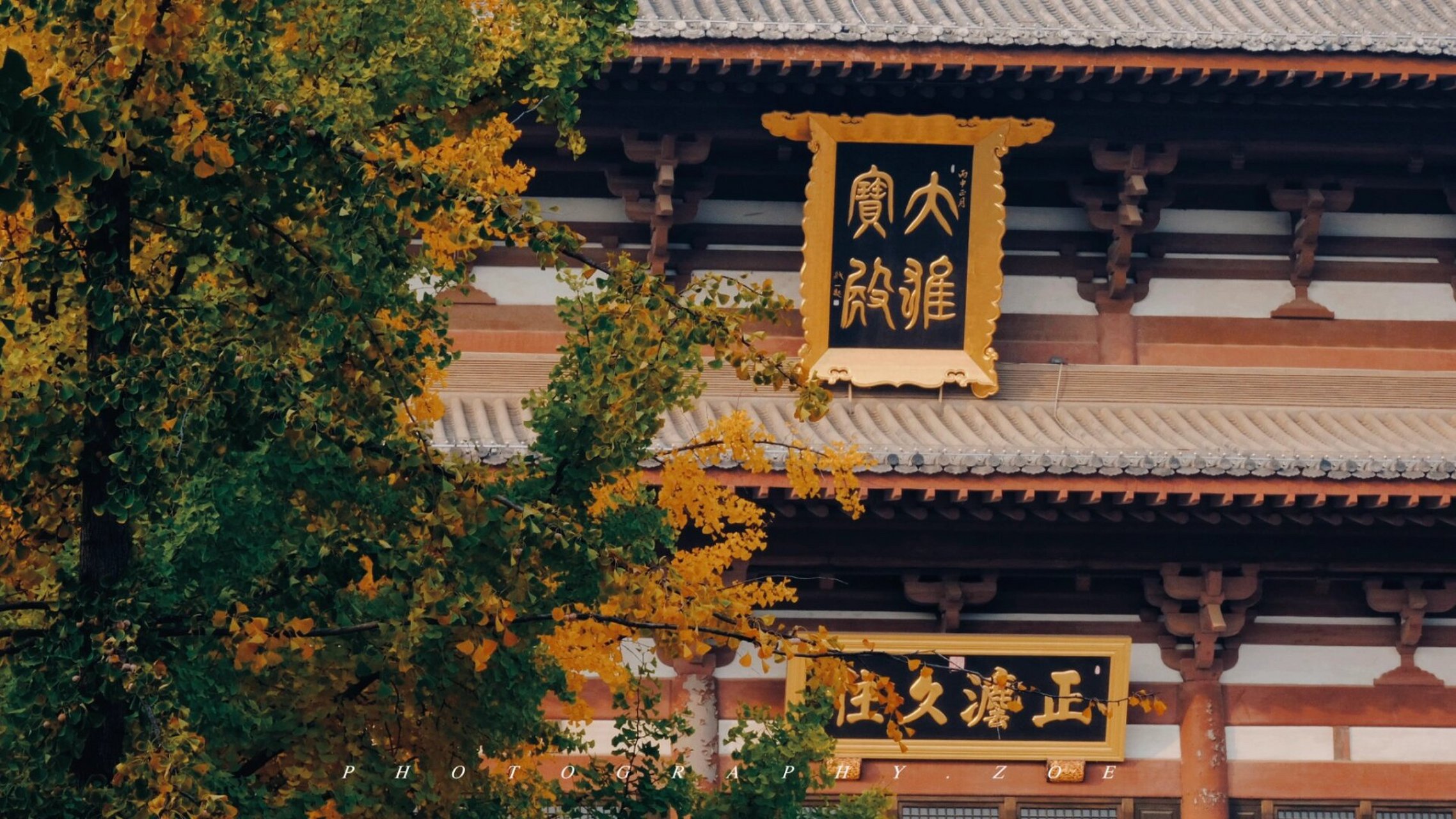 廊坊千年古剎|隆福寺 廊坊正在修錢的古寺-隆福寺,因為時間問題,下午