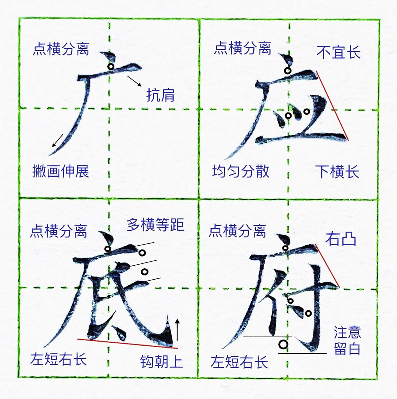 硬笔楷书——广字头例字 [庆祝]#硬笔书法# #每日练字打卡# #硬笔楷书