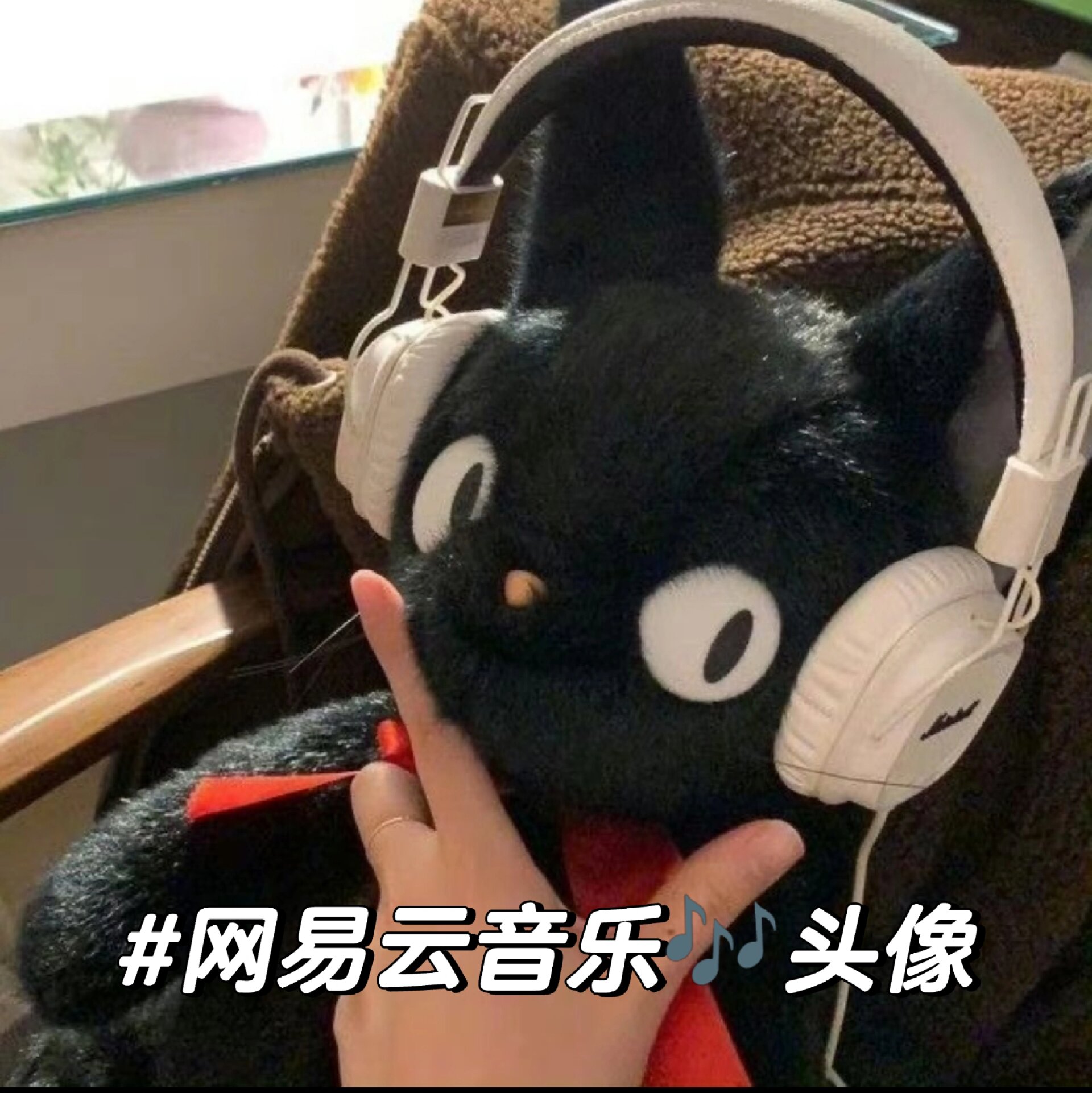 网易云音乐头像标志图片