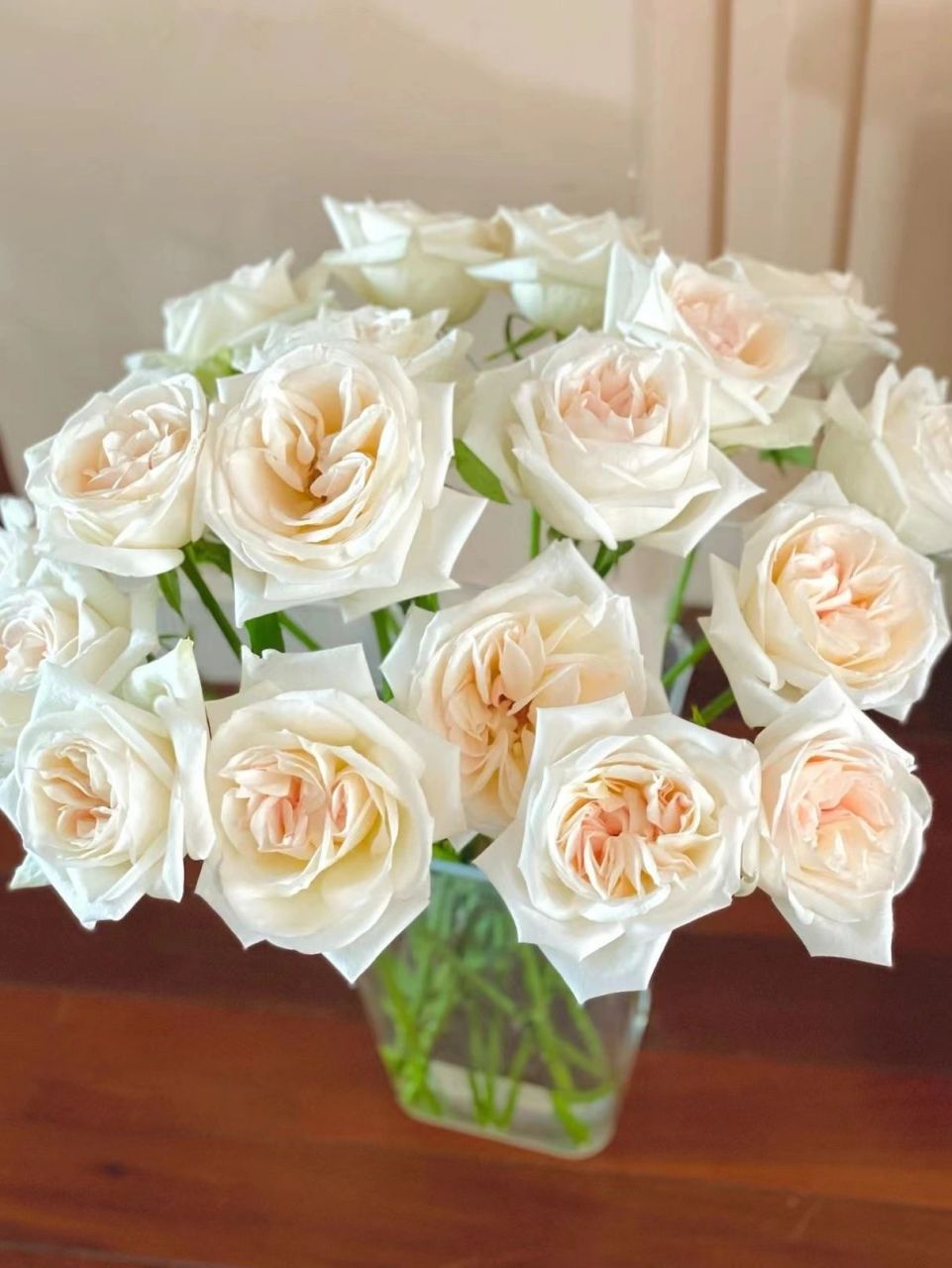 【每日认识一种花】白荔枝玫瑰 白荔枝玫瑰,奥斯汀花型,主体花瓣奶油