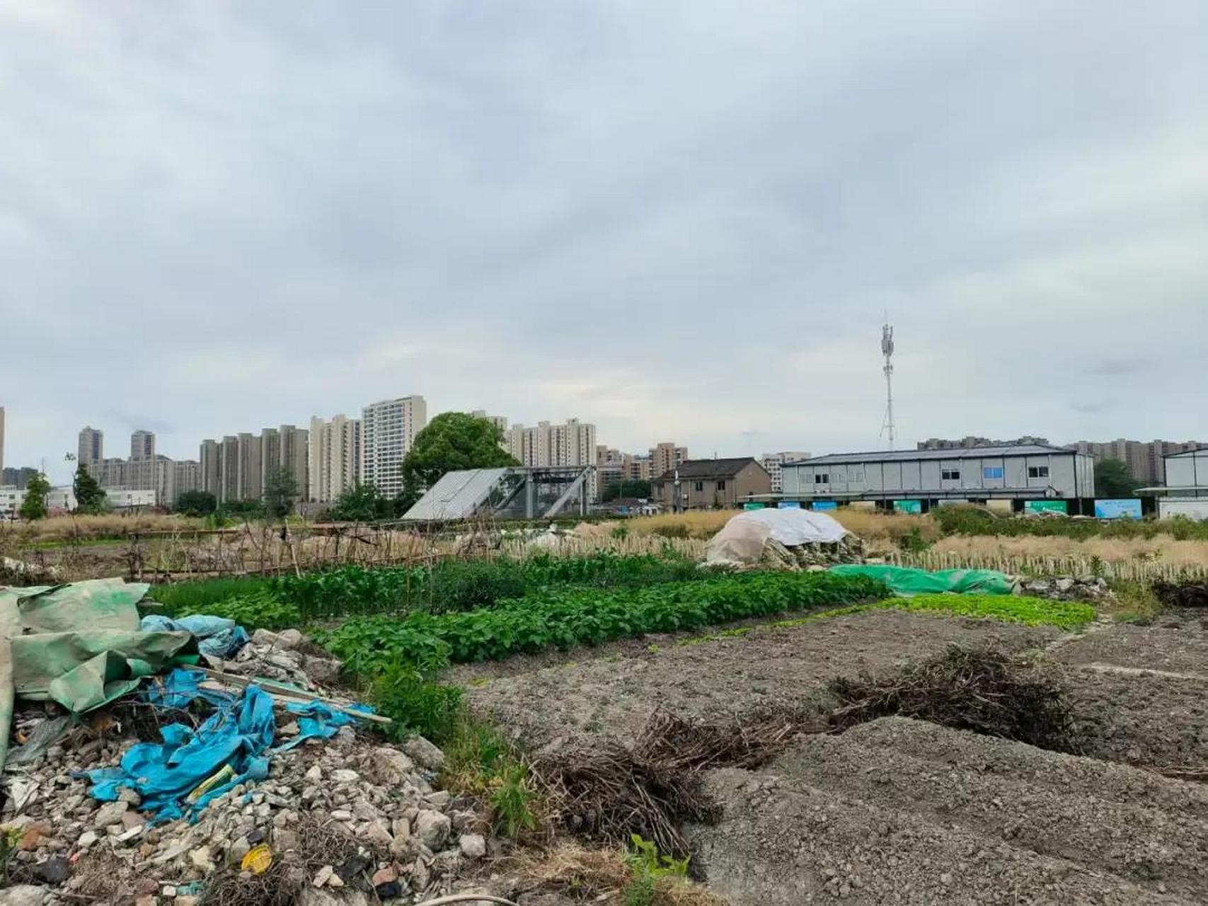 寧波地鐵3號線的高塘站,坐落在空曠的農田裡,恐怕是最寂寞的地鐵站了.