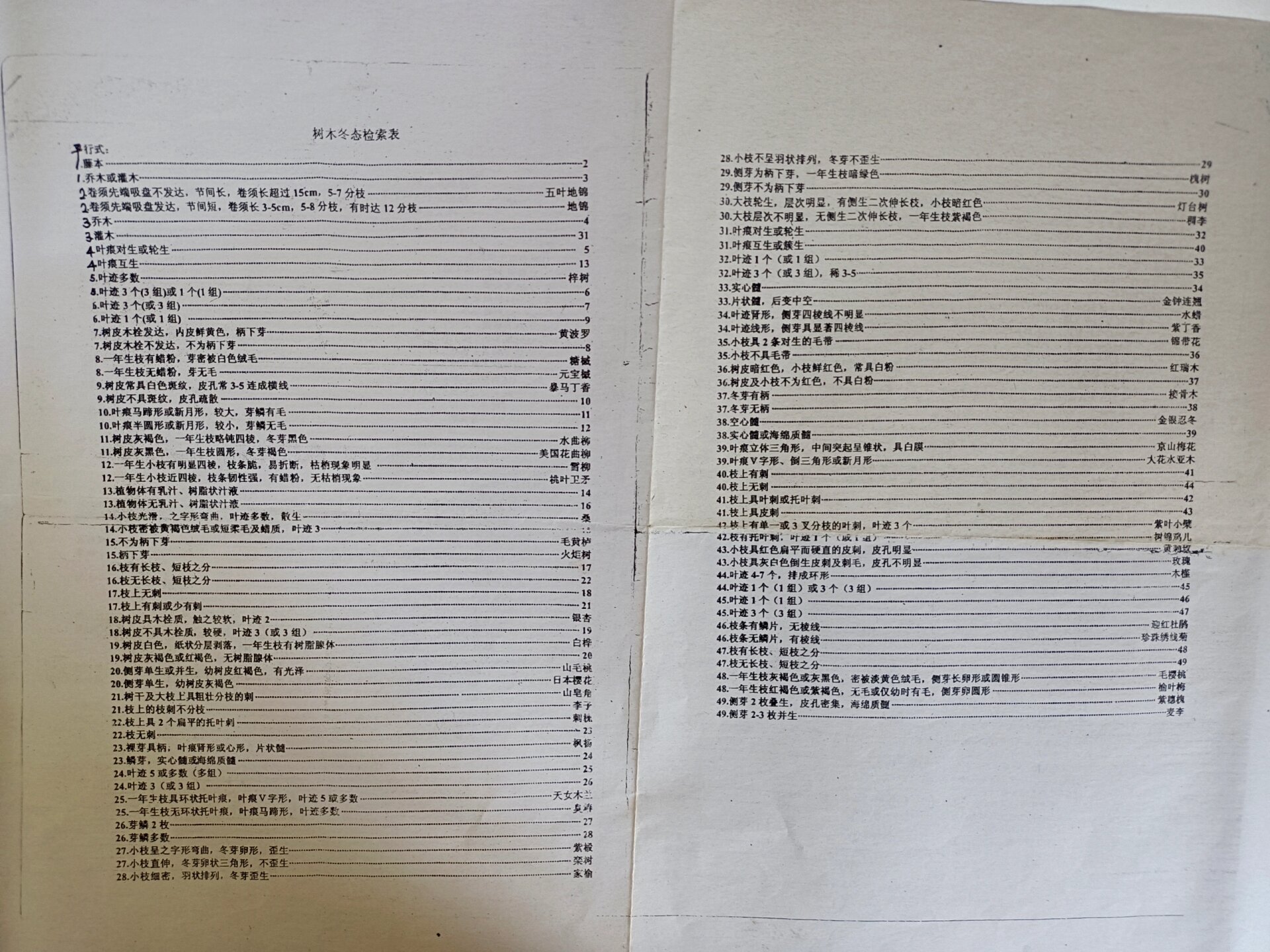 植物检索表:定距式与平行式