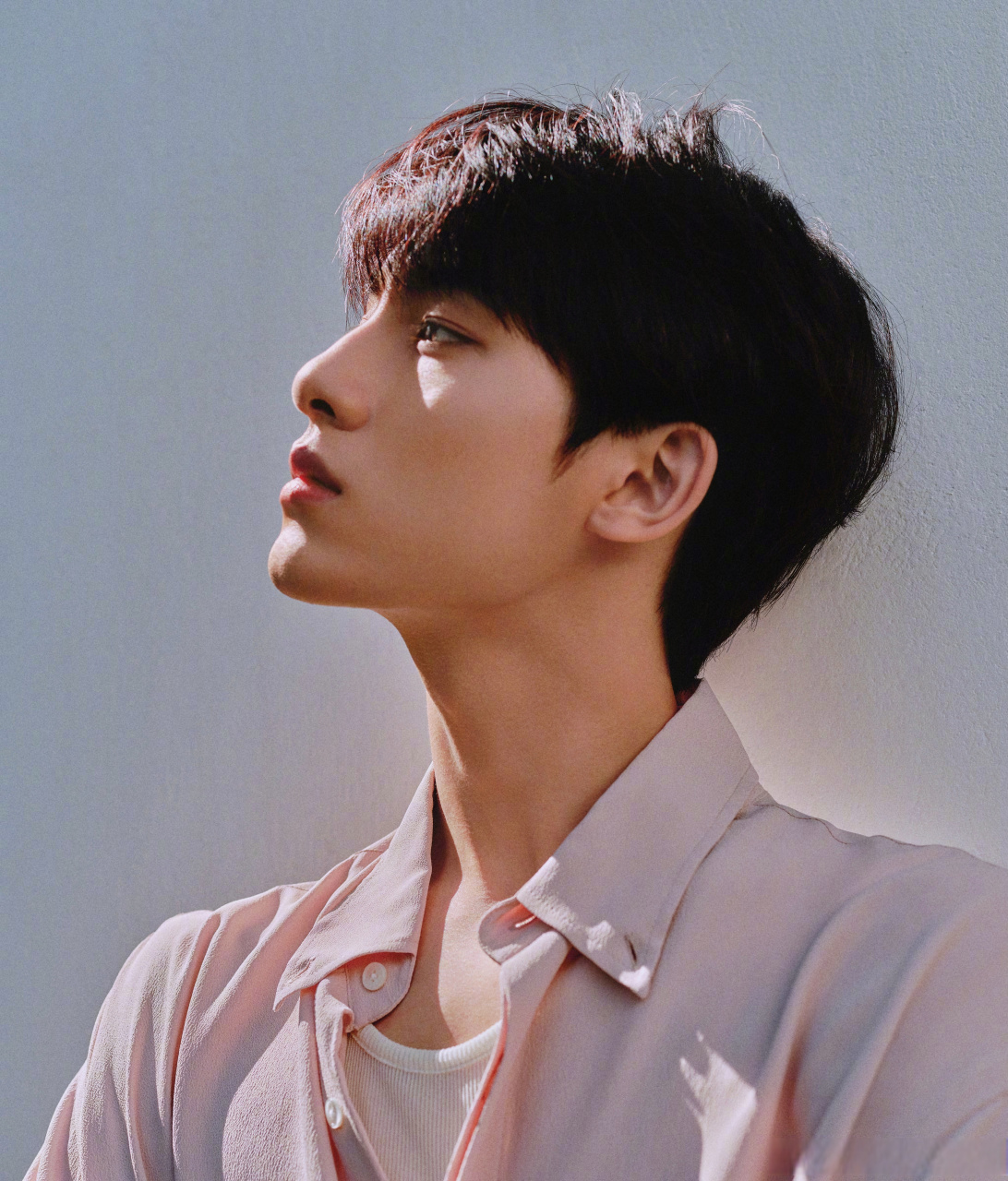 如阳光般和煦,星辰样耀眼.期待他在属于他 董思成的花路