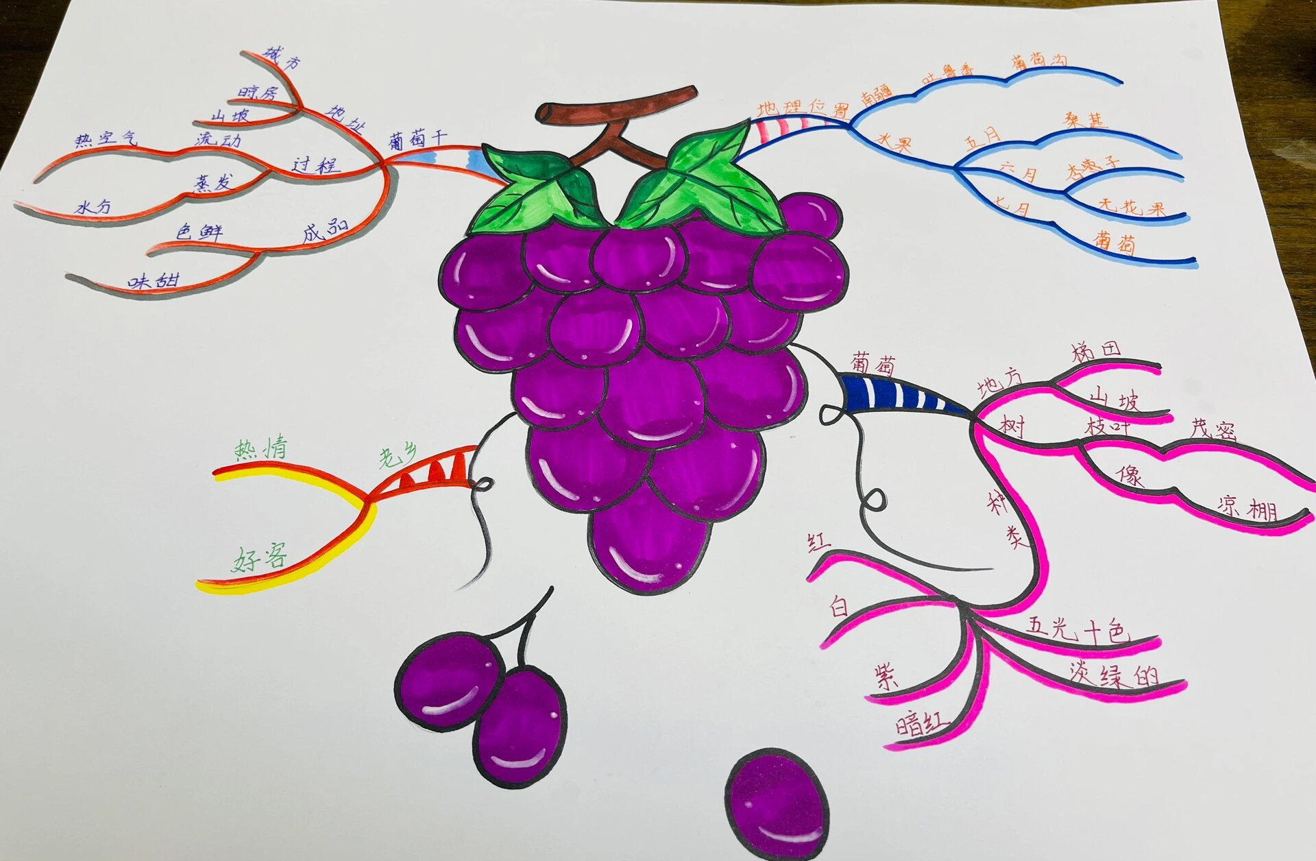 二年级语文《葡萄沟》