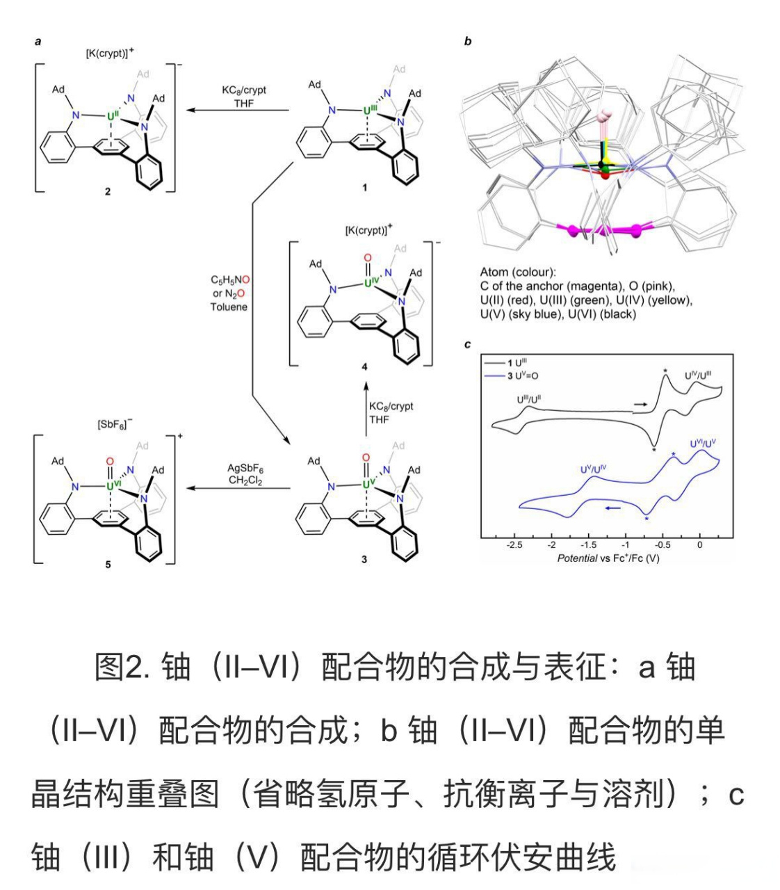 铀的原子结构示意图图片