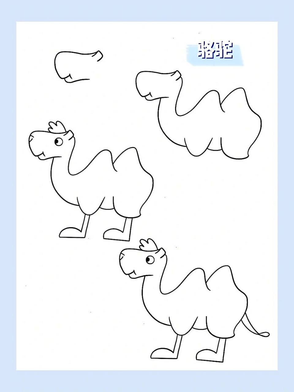 简笔画|动物篇 骆驼50/60 979797