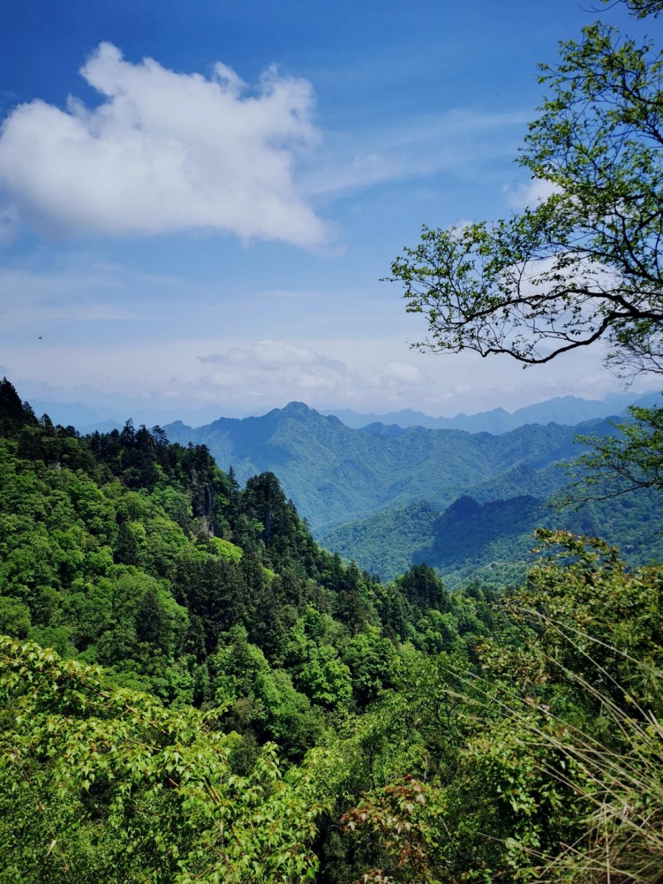 蜀道寻路2·阴平道·摩天岭和唐家河 为了体验邓艾翻越的摩天岭,我