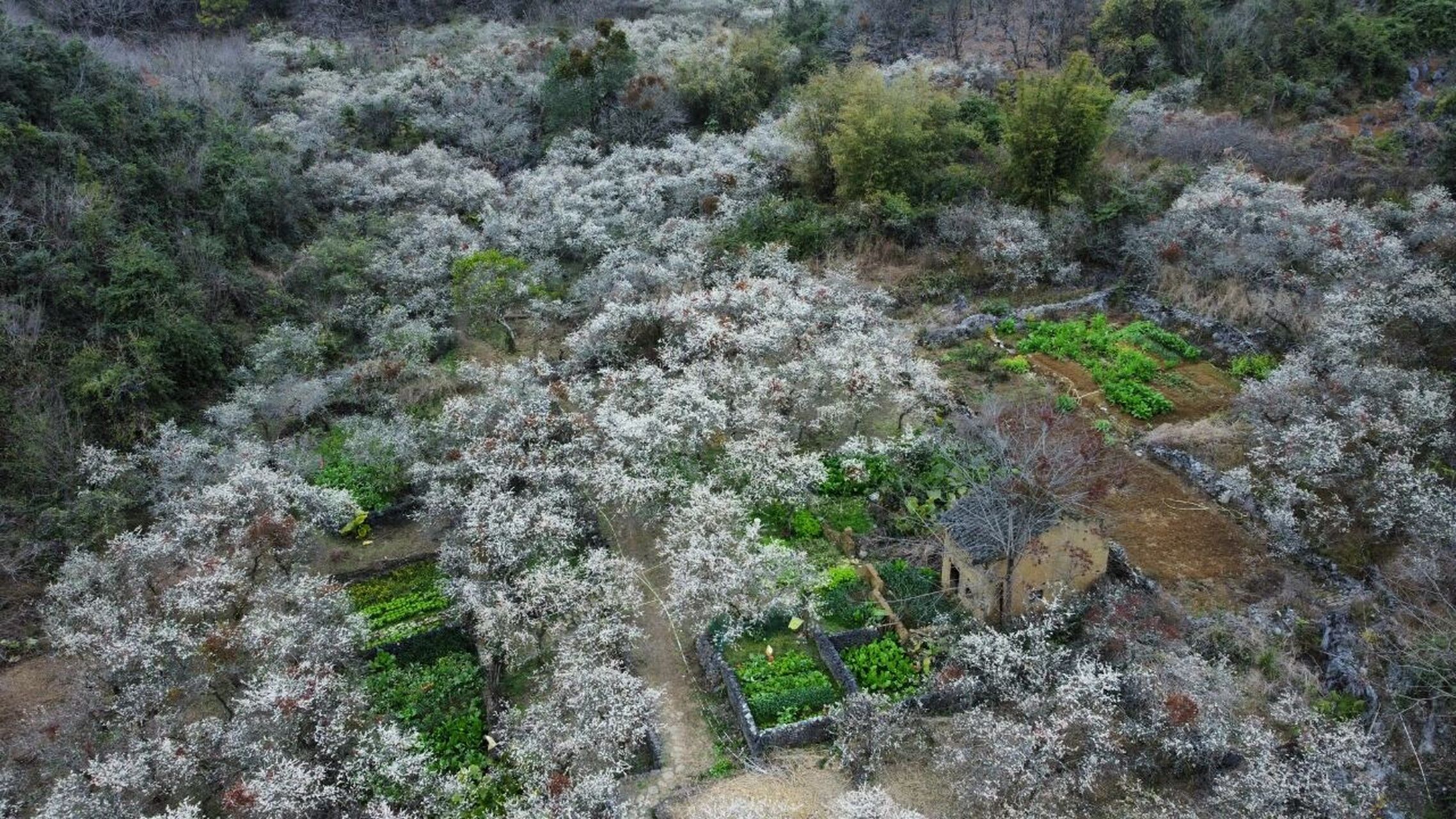 阳山水浪花谷图片