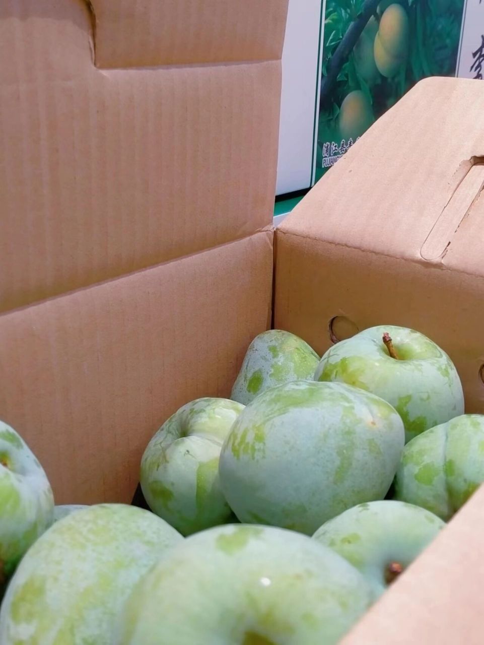 浦江桃形李系蔷薇科李属"中国李"中的一个品种 是金华市浦江县名特优