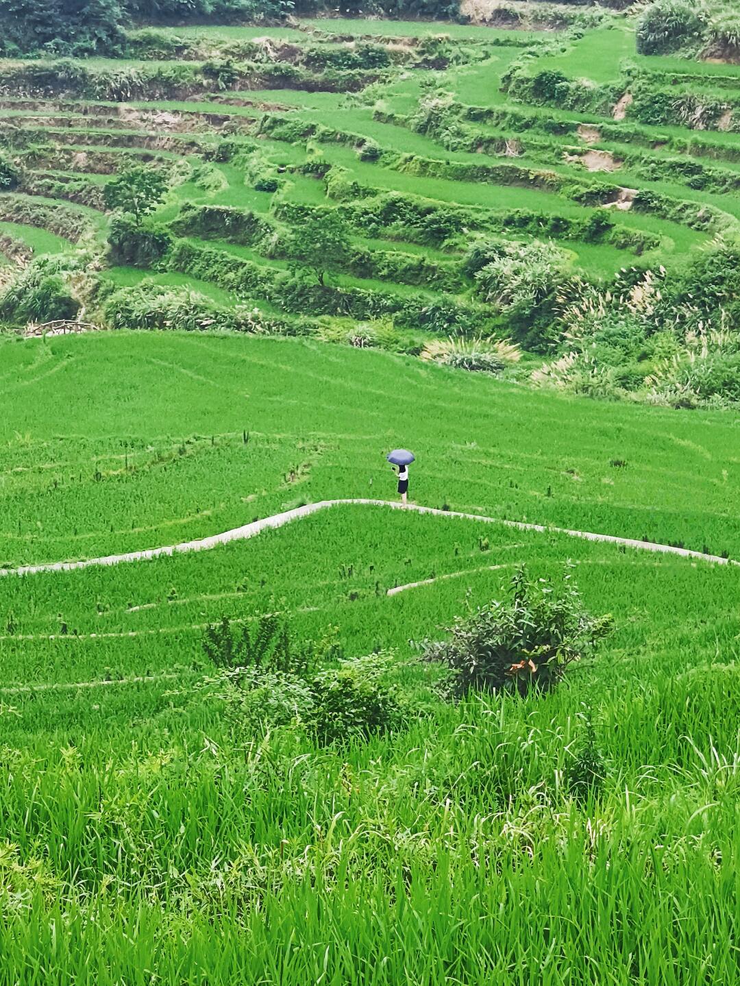 蕲春雾云梯田景点电话图片