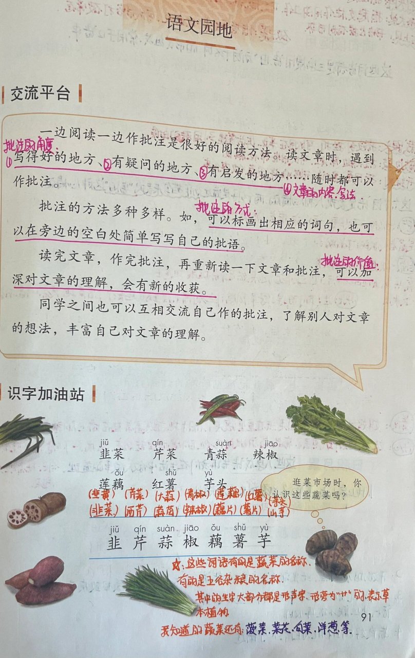 人教版四年级上册语文《语文园地六》    更新