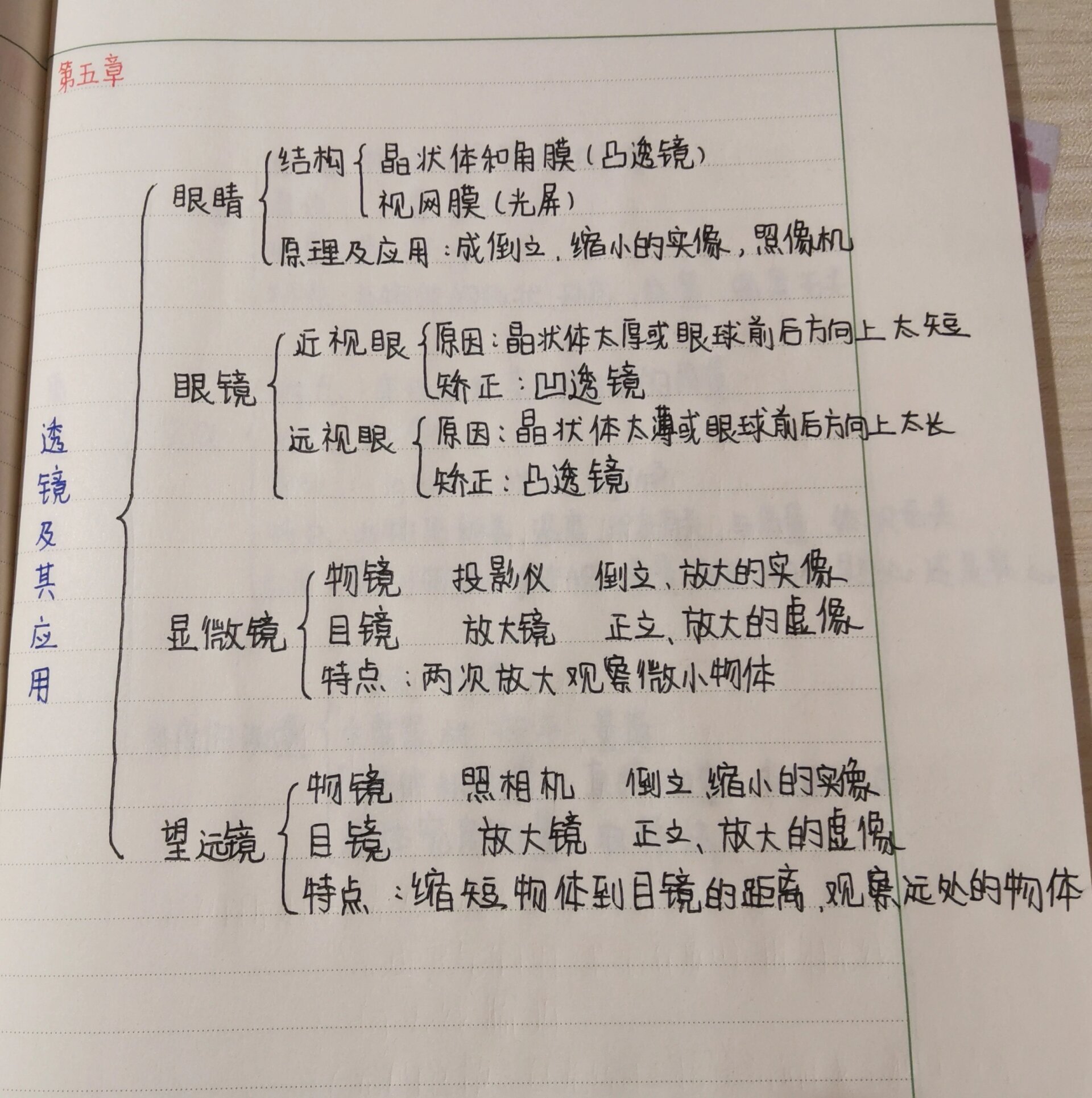 八上物理第五章思维导图