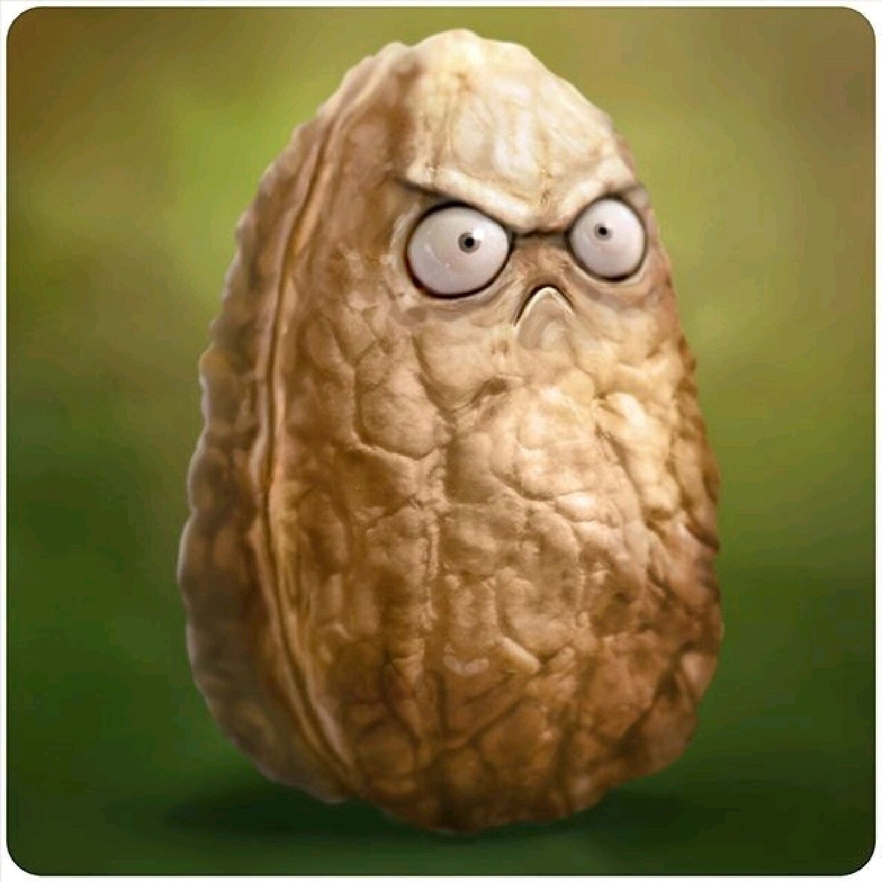 前排植物千万不能加南瓜头 植物大战僵尸 很多玩家为了保险喜欢把所有