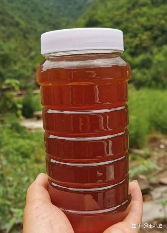 蜂蜜图片真实(蜂蜜图片真实高清) 蜂蜜图片真实(蜂蜜图片真实高清)