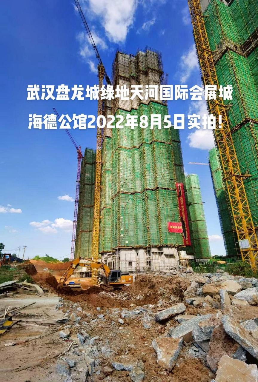 武汉盘龙城绿地海德公馆最新进展!