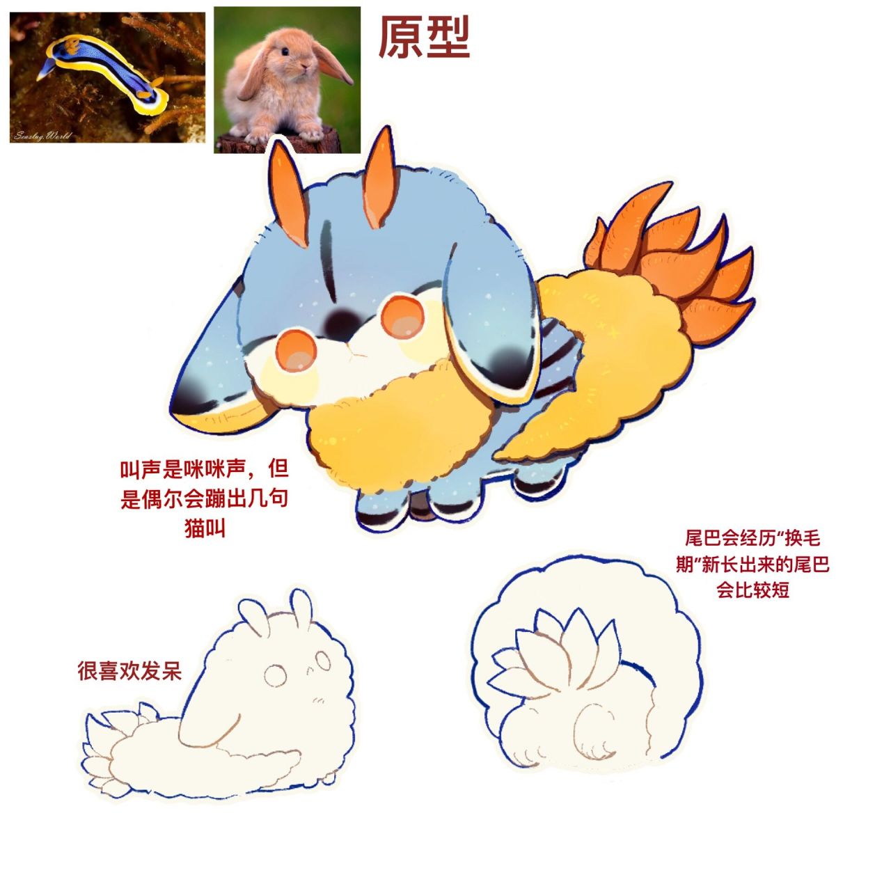 馆长好,我又来了 这次是安娜多彩海蛞蝓x美国费斯垂耳兔(猫猫兔) 只