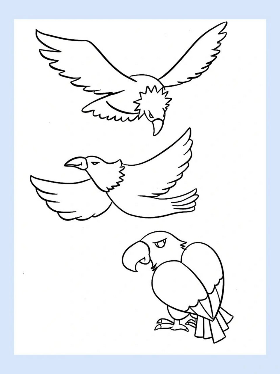 简笔画|动物篇 鹰 51/60 070707 大地飞鹰