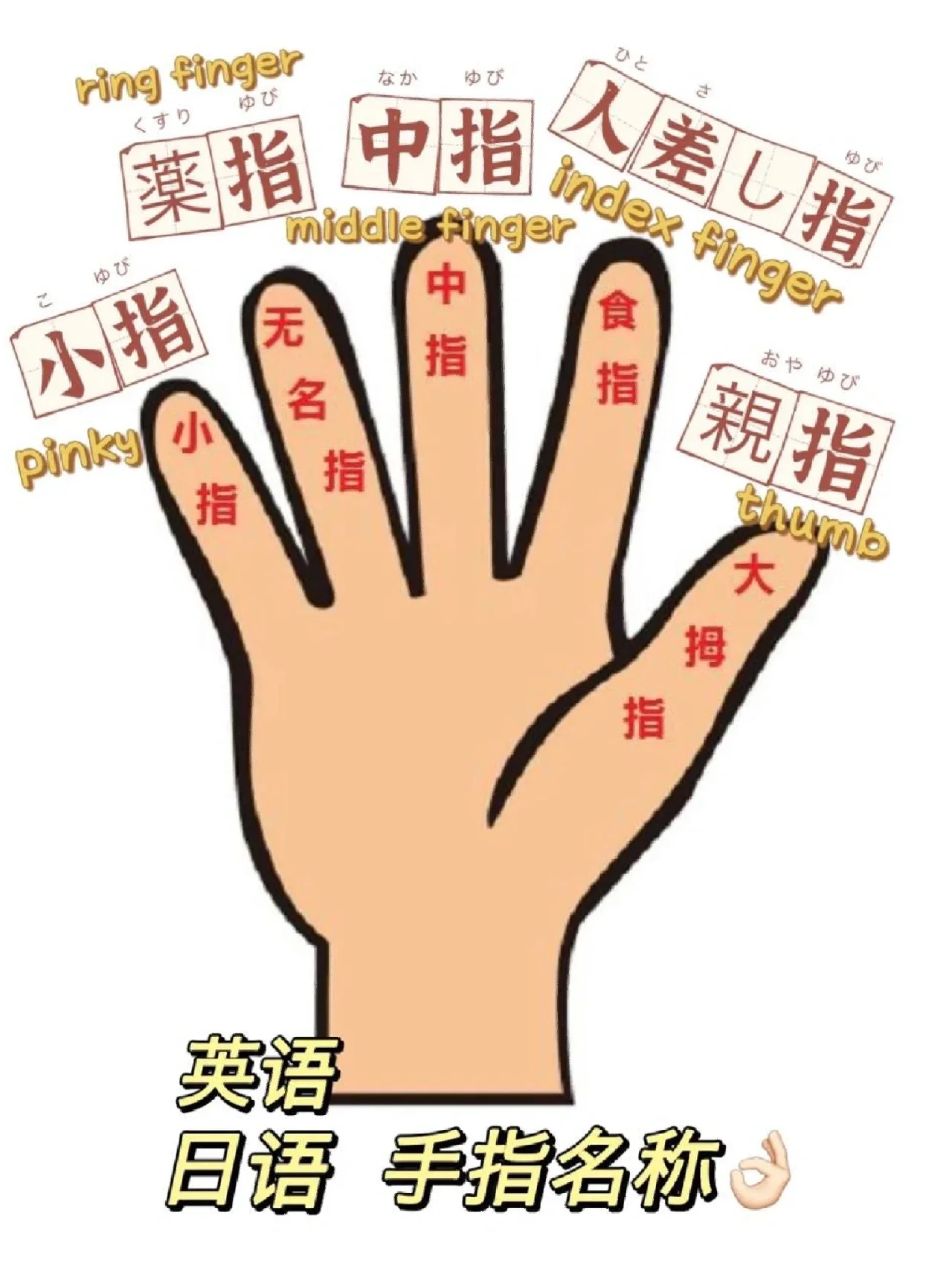 9890 一个方法到老都记得手指名称