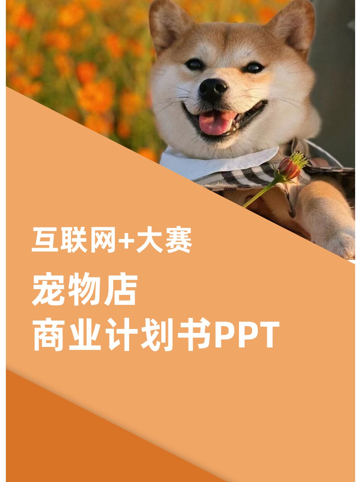 哈希娱乐- 哈希游戏平台- 哈希游戏官方网站市政府办公室关于印发宿迁市支持宠物产业集群全链式发展若干政策措施的通知