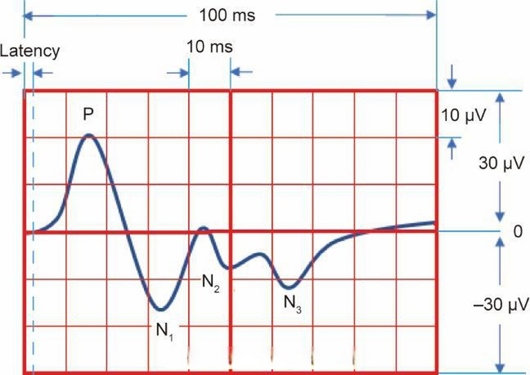 【engineering | 大鼠周围神经诱发脑皮层电位时空图——一种研究脑对