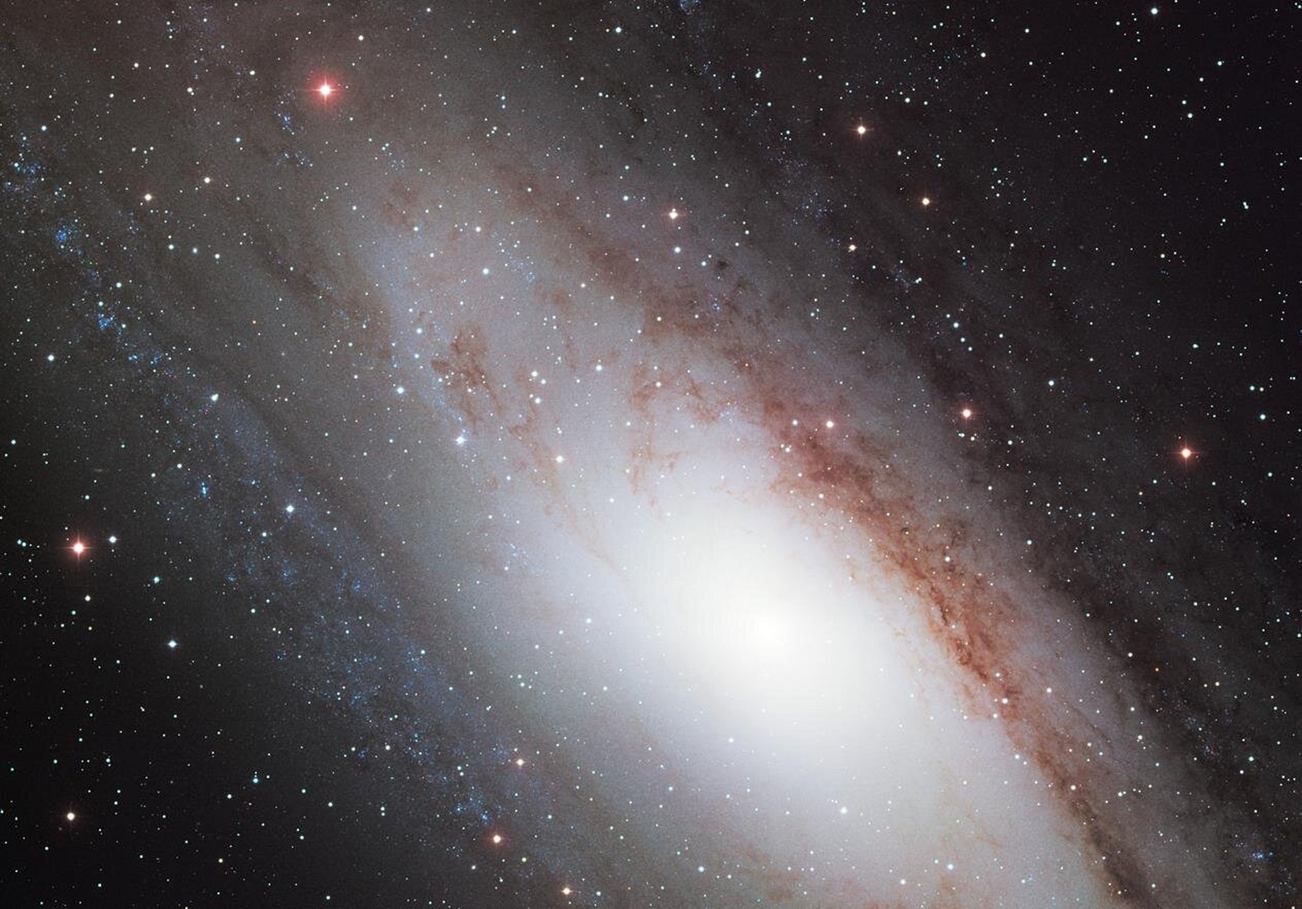 每天认识一个天体 |【40】m31仙女座星系 中文名:仙女座星系 英文名