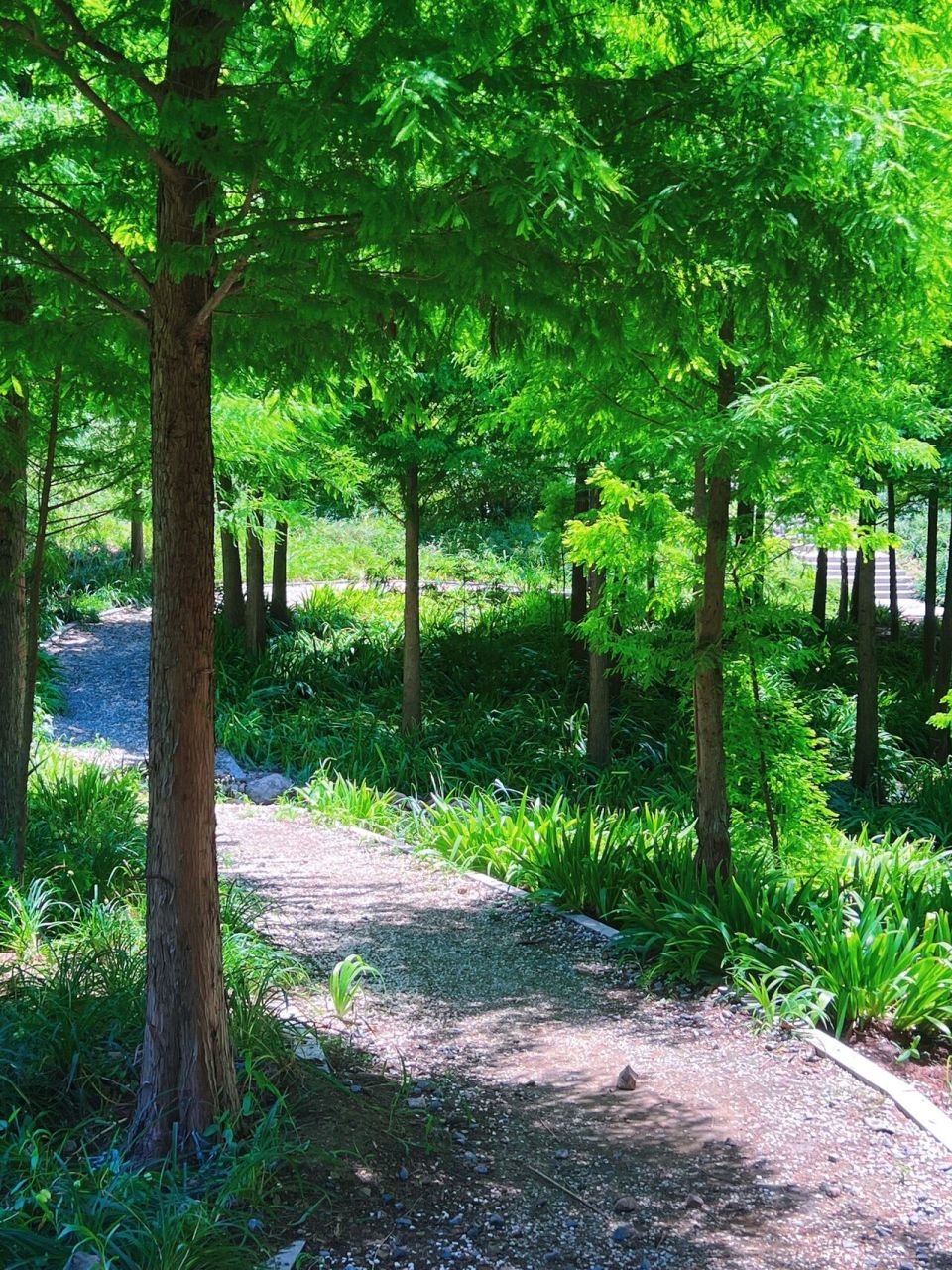 邯郸周边一日游|武安紫山公园|7415 邯郸市区附近一日游好去处