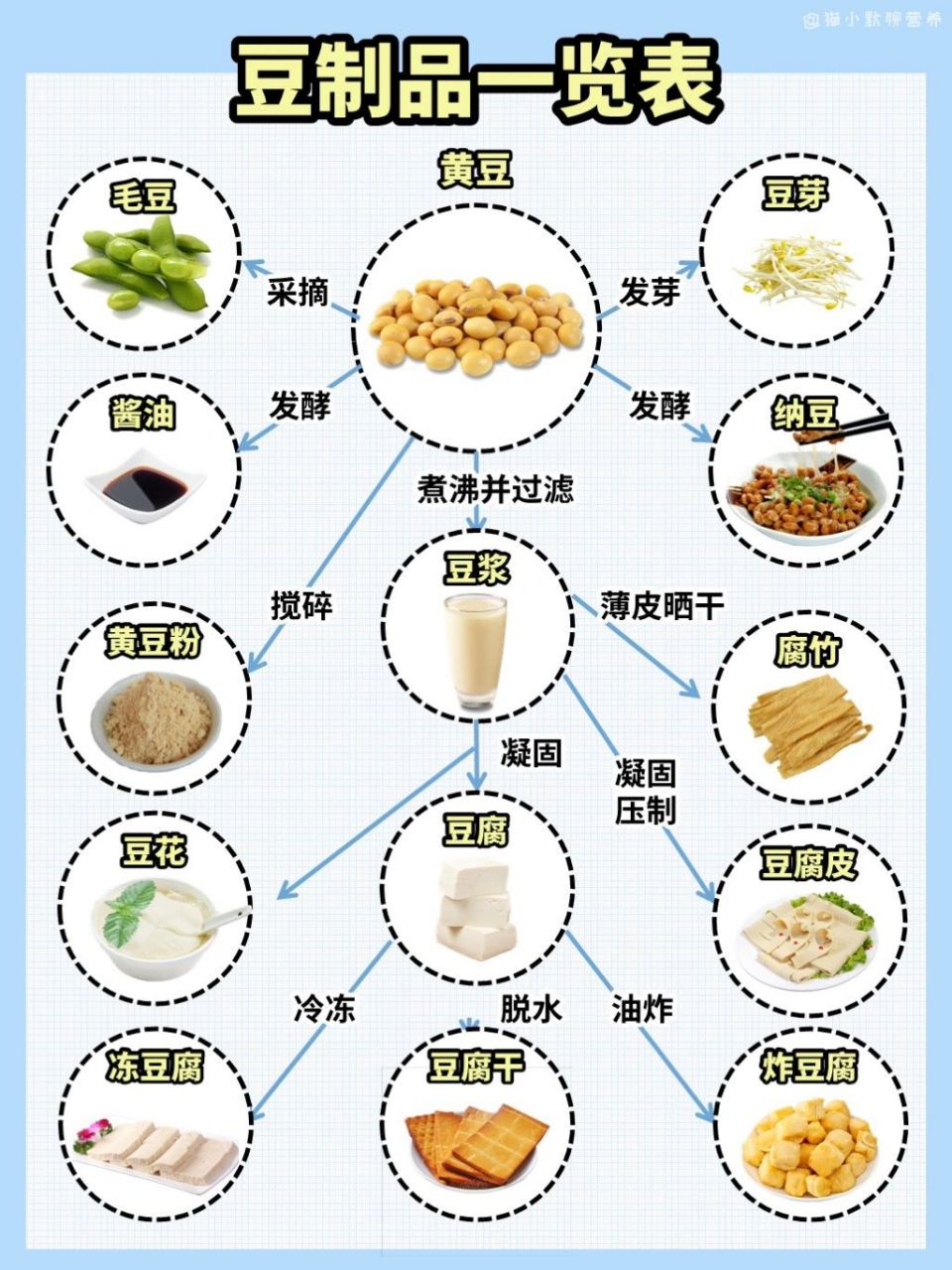 豆类大全图片带名字图片