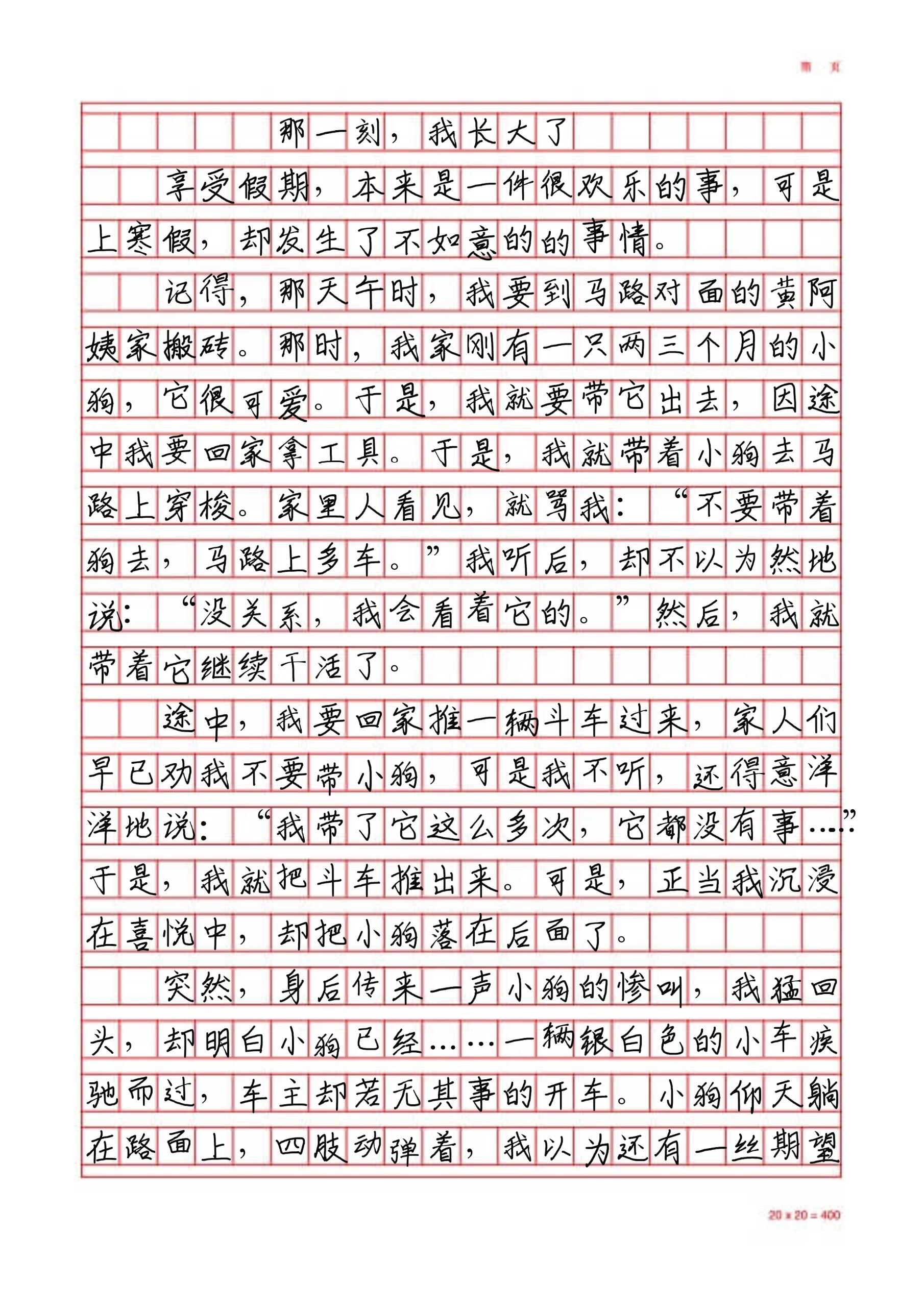 那一刻我长大了50字图片