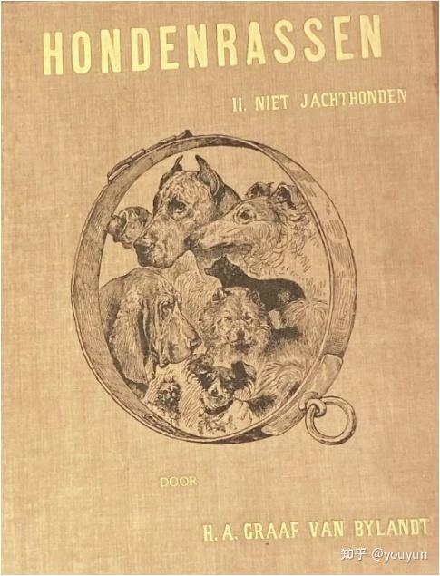 1904年犬种书中美丽的原生松狮犬