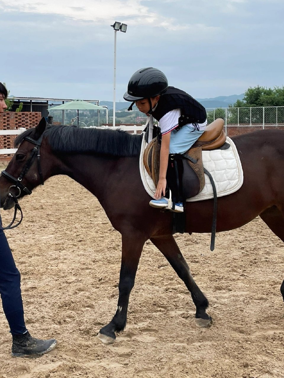 济南哪里有马场 导航天天向上骑士会