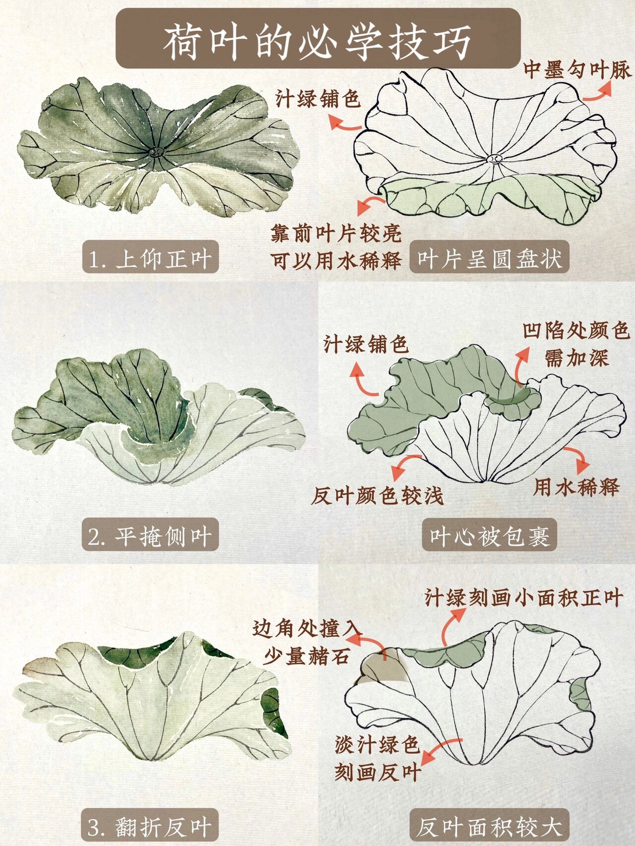 国画入门|03荷叶的必学技巧97一学就会