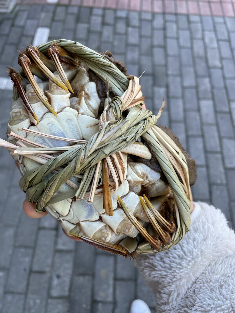 8两蟹王撑爆礼盒 近期大蟹需求量很高 为了体现大闸蟹的价值 安排了