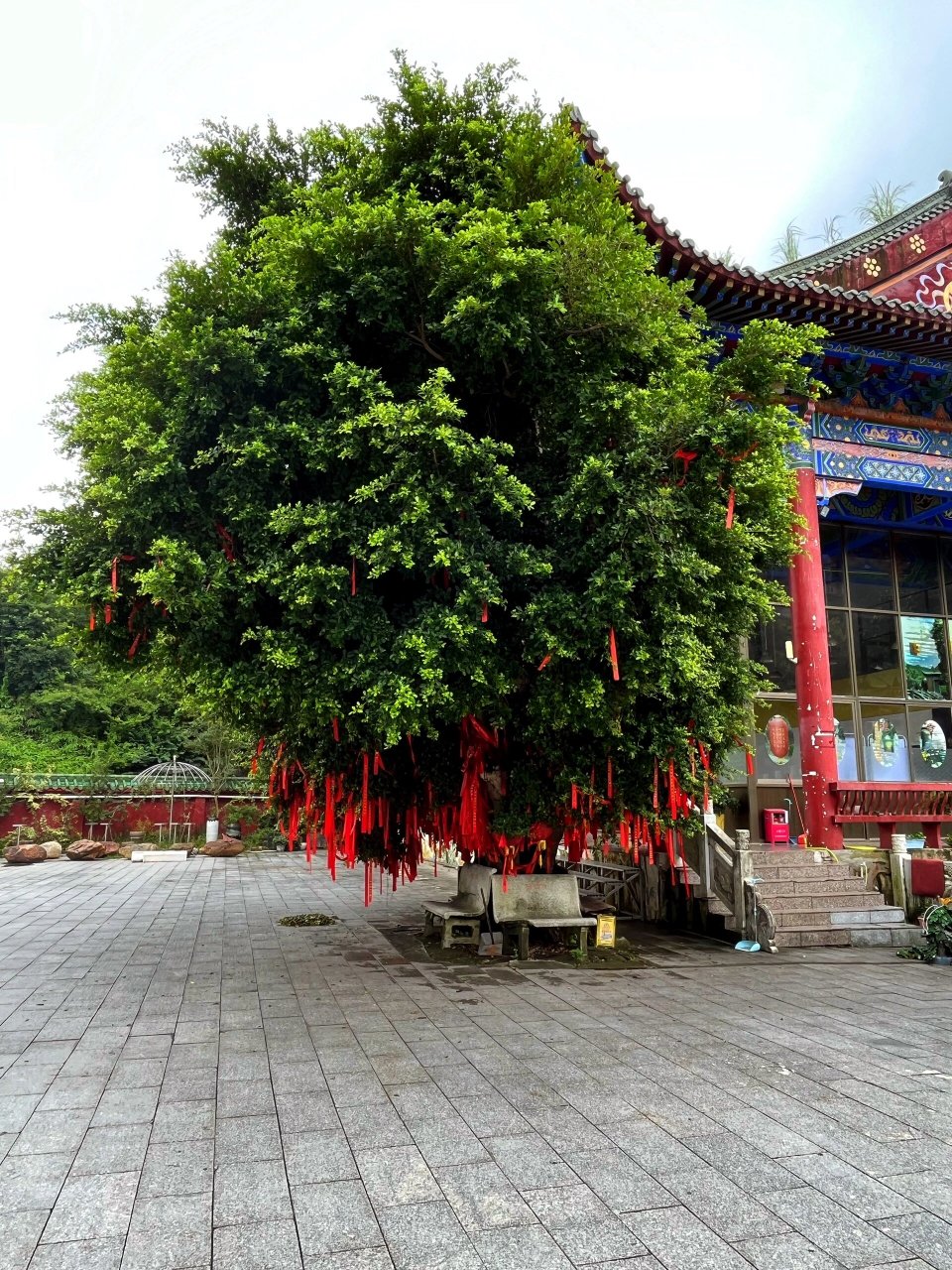 记录下此刻  六祖寺位于广东省肇庆市四会贞山风景旅游区内,原寺