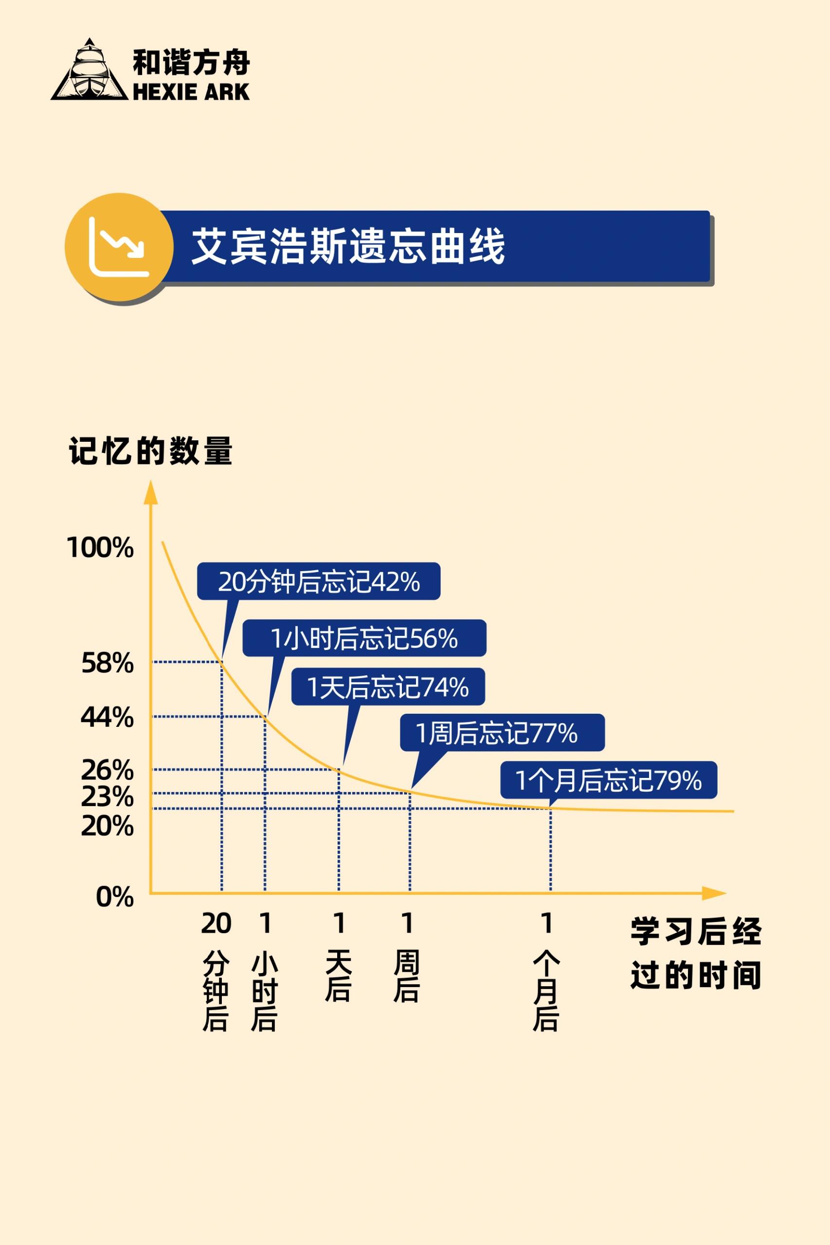 人类大脑发育曲线图图片