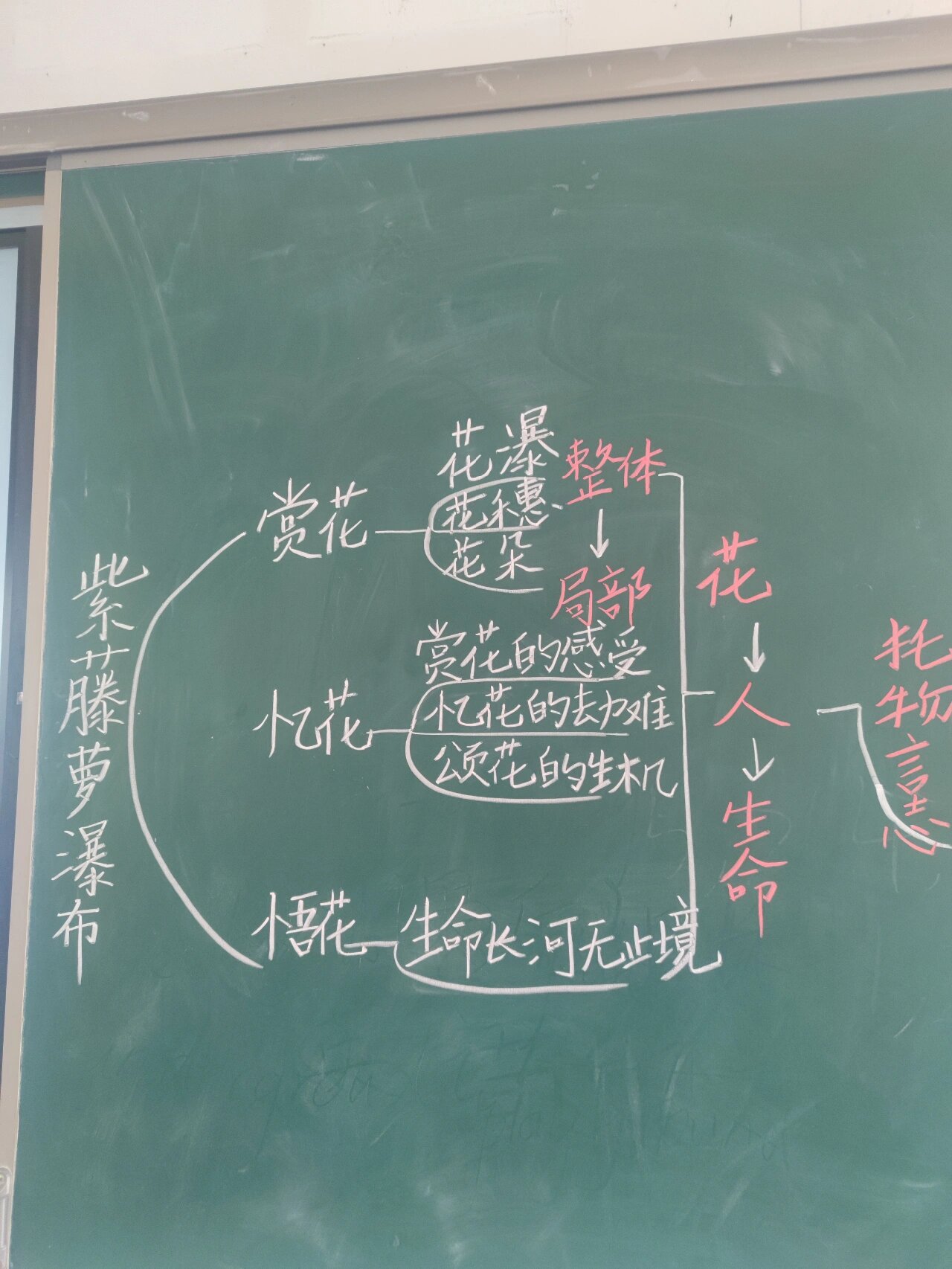 紫藤萝瀑布:板书93