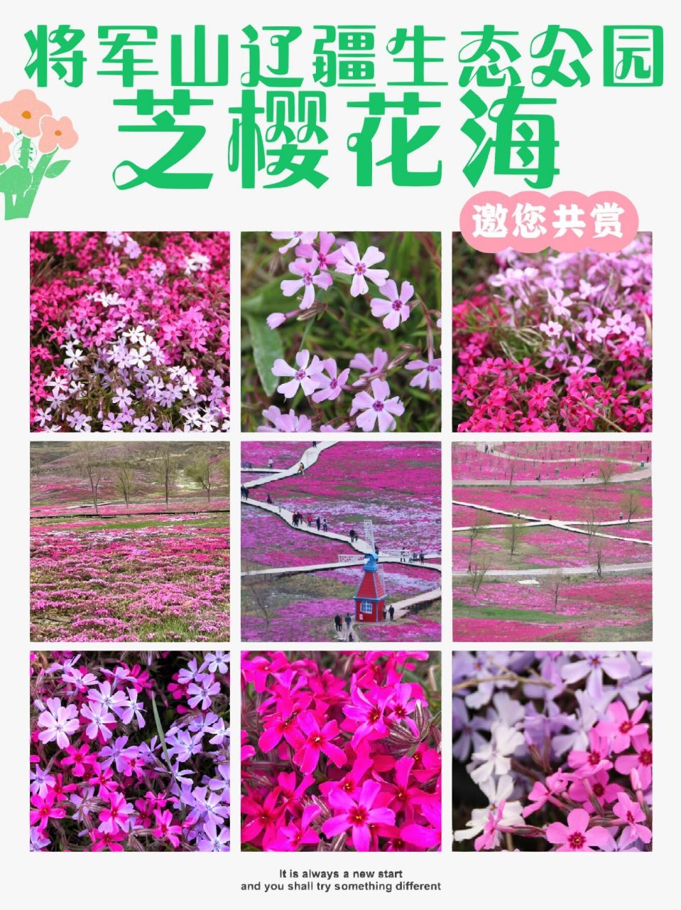 石河子|将军山辽疆生态公园949494 90景点:将军山辽疆生态