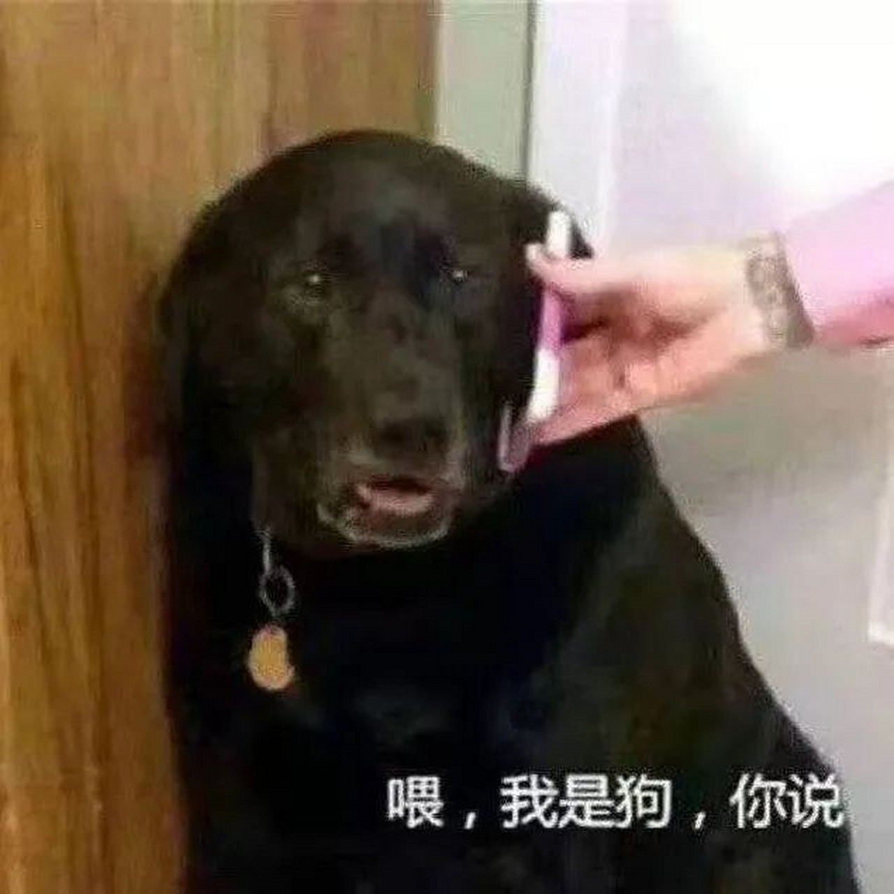 傻屌搞笑表情包